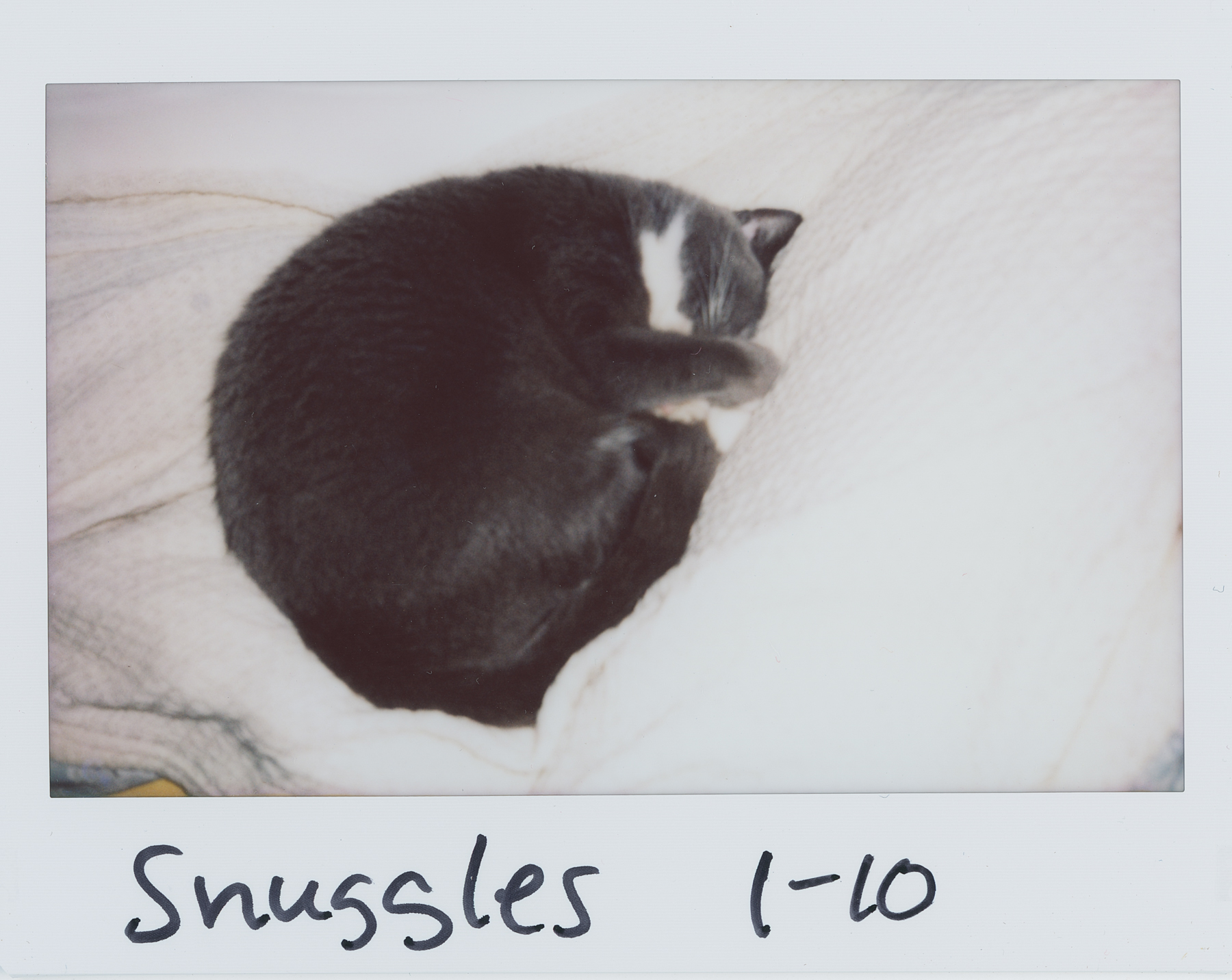 Week 2 sm (2 of 6).jpg