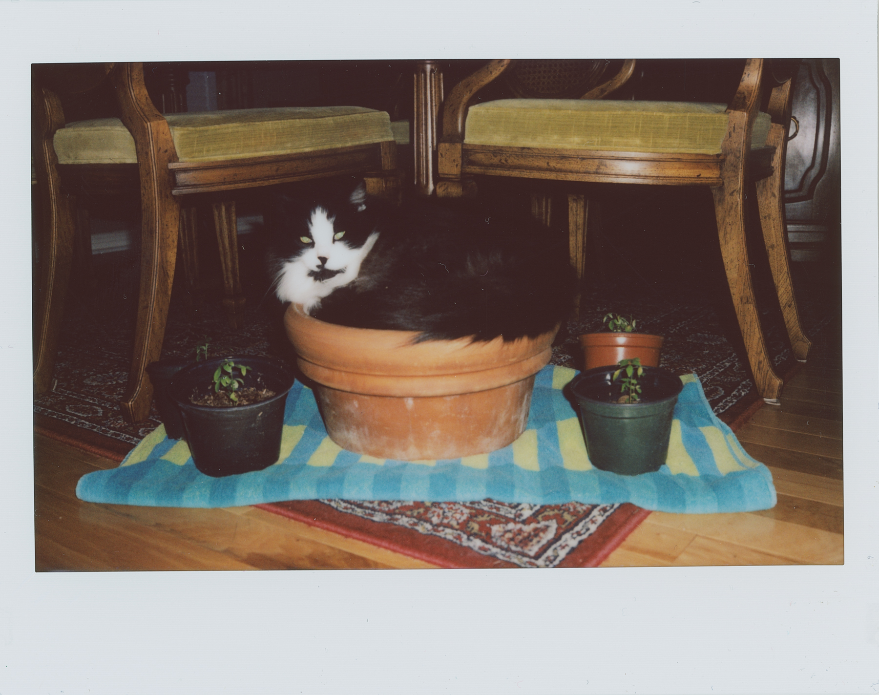 Week 1 sm (3 of 8).jpg