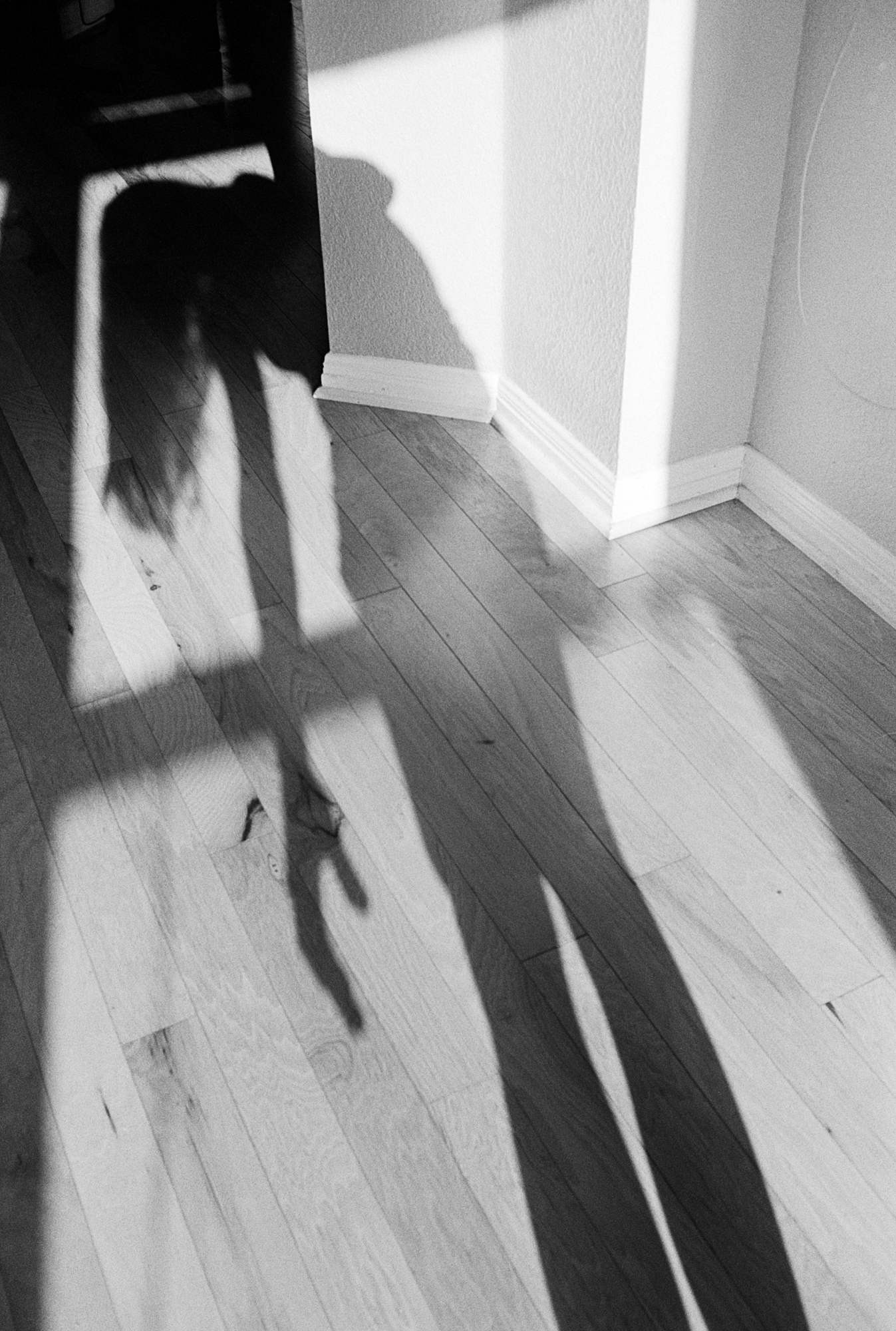 shadow portrait (1 of 1).jpg