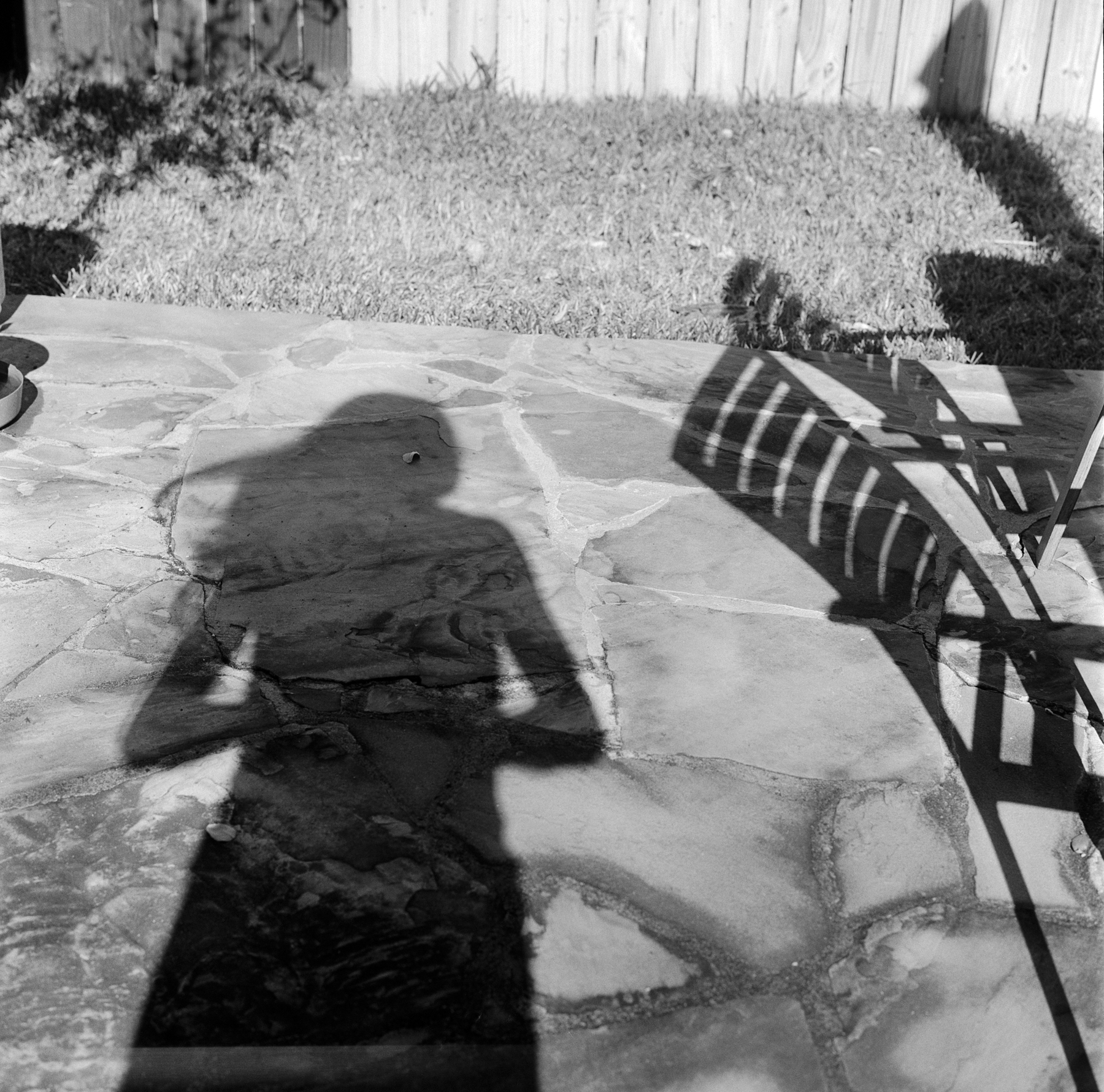 self shadow sm (1 of 1).jpg