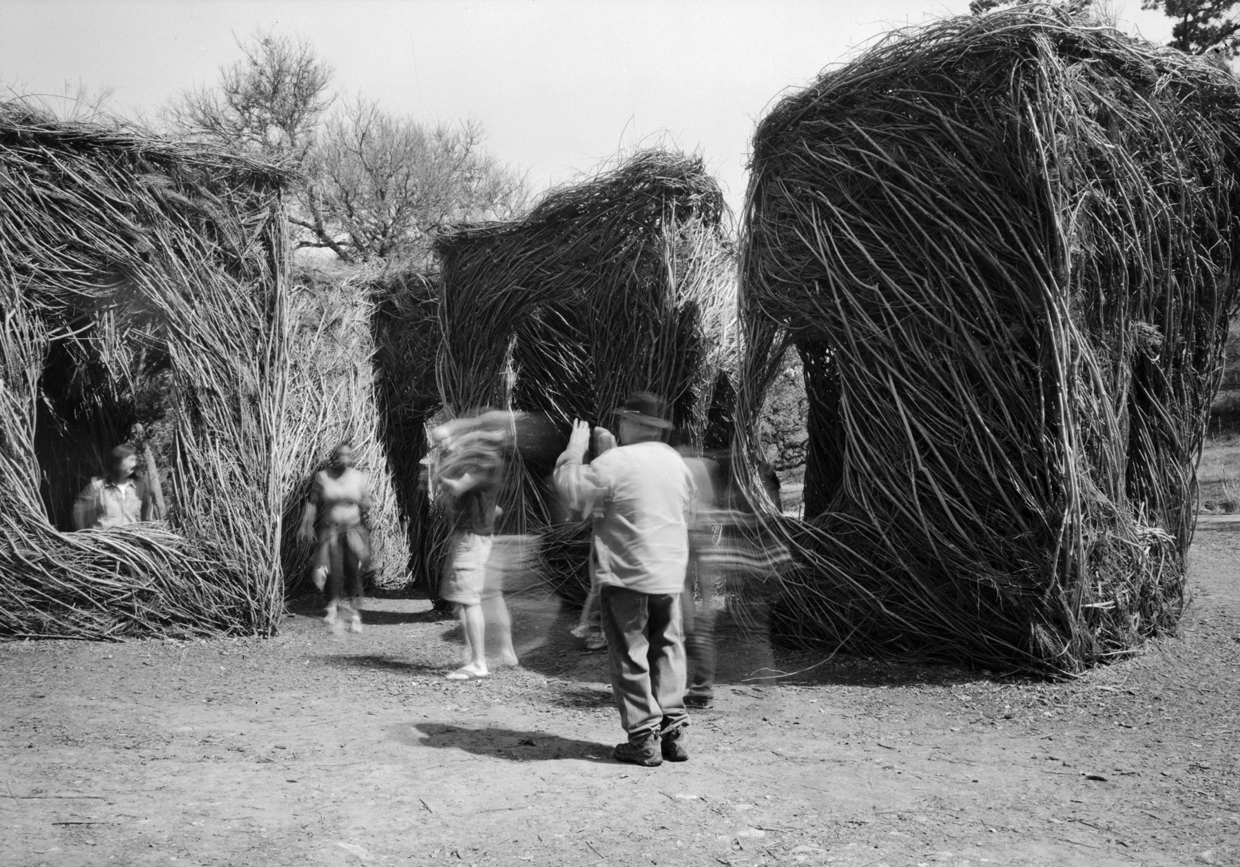 Pease Park stick sculpture March 2018 5x7  (1 of 1).jpg