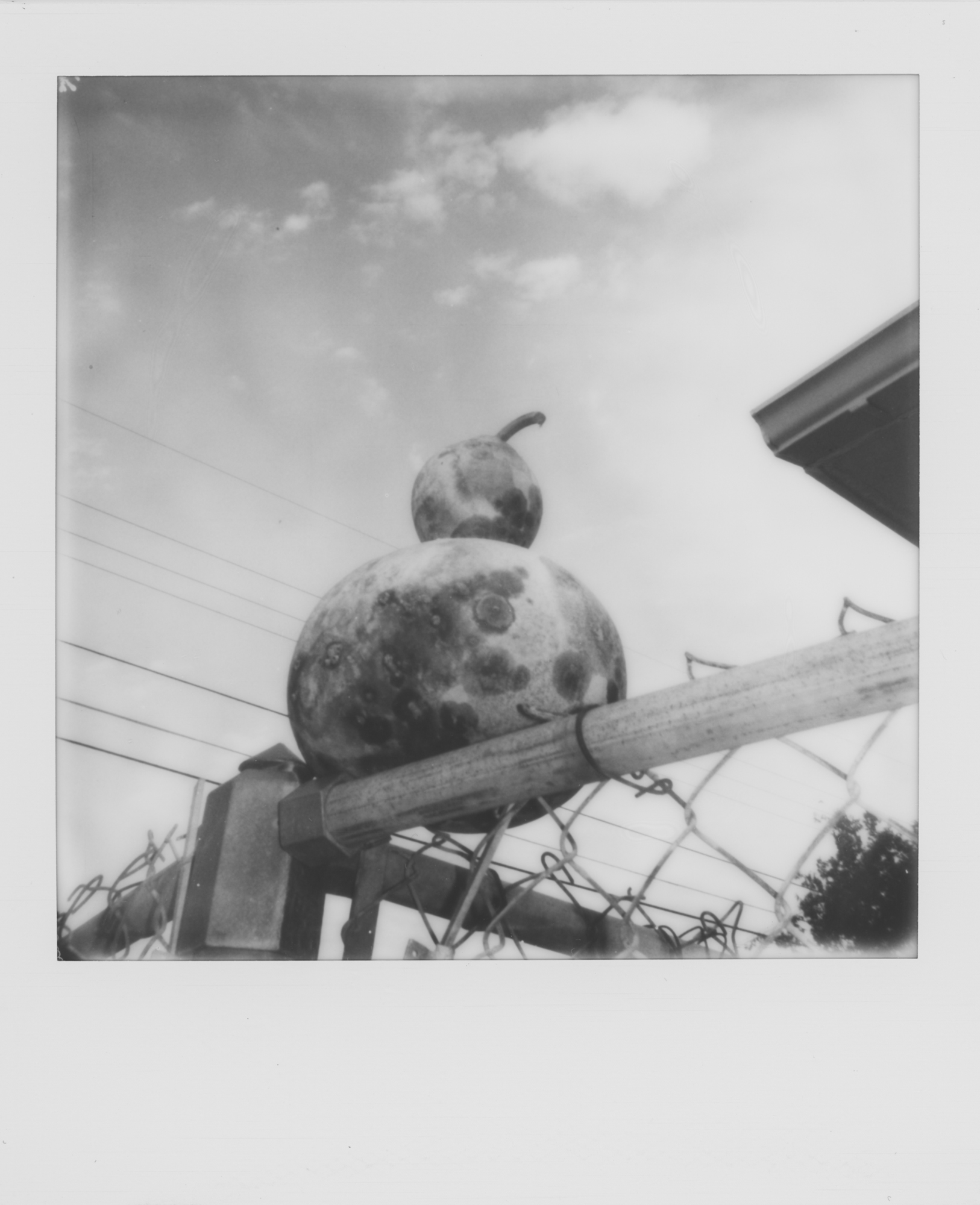 pola week waco etc (1 of 4).jpg