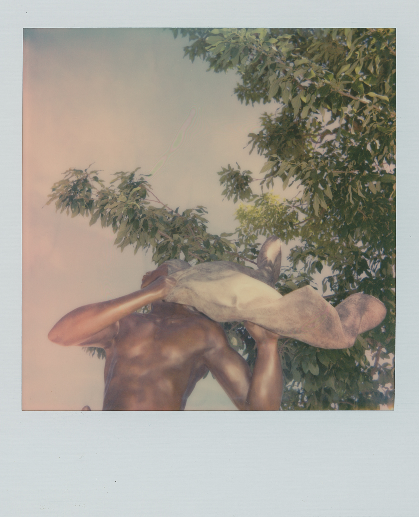 sculpture pola 1 (1 of 1).jpg