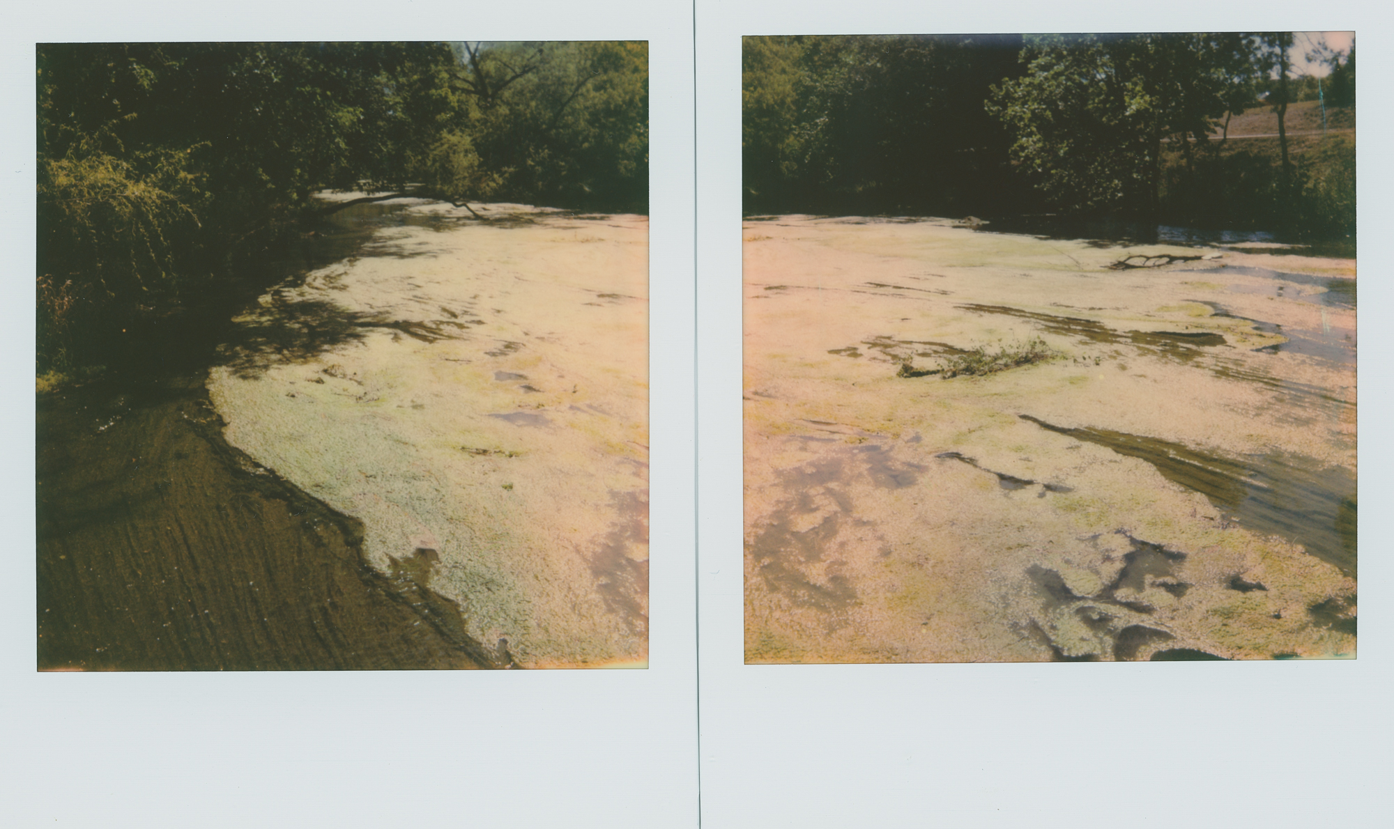 polaroid week RR (2 of 2).jpg