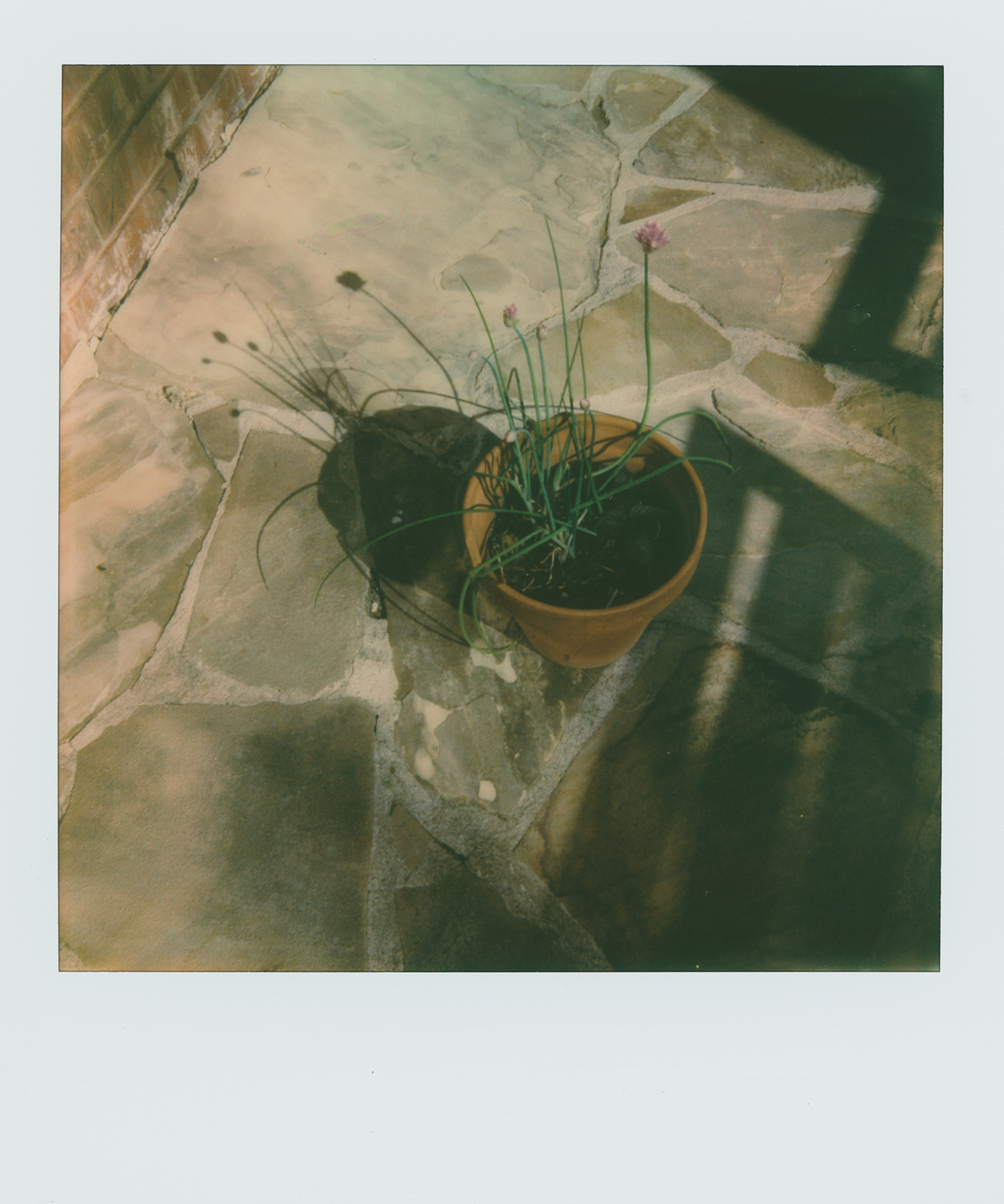 pola weekchives (1 of 1).jpg