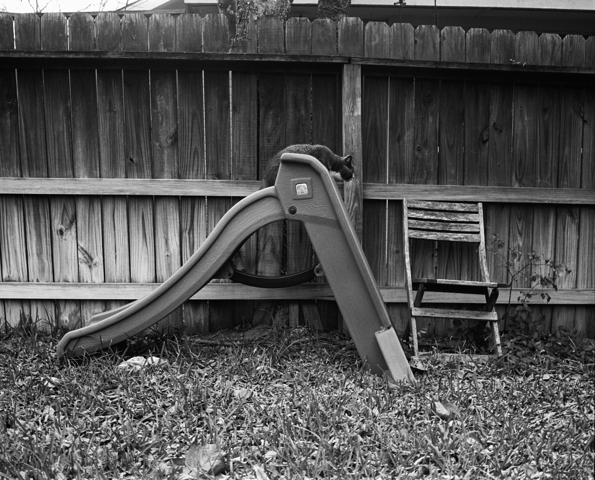 Christmas day graflex xl (3 of 3).jpg