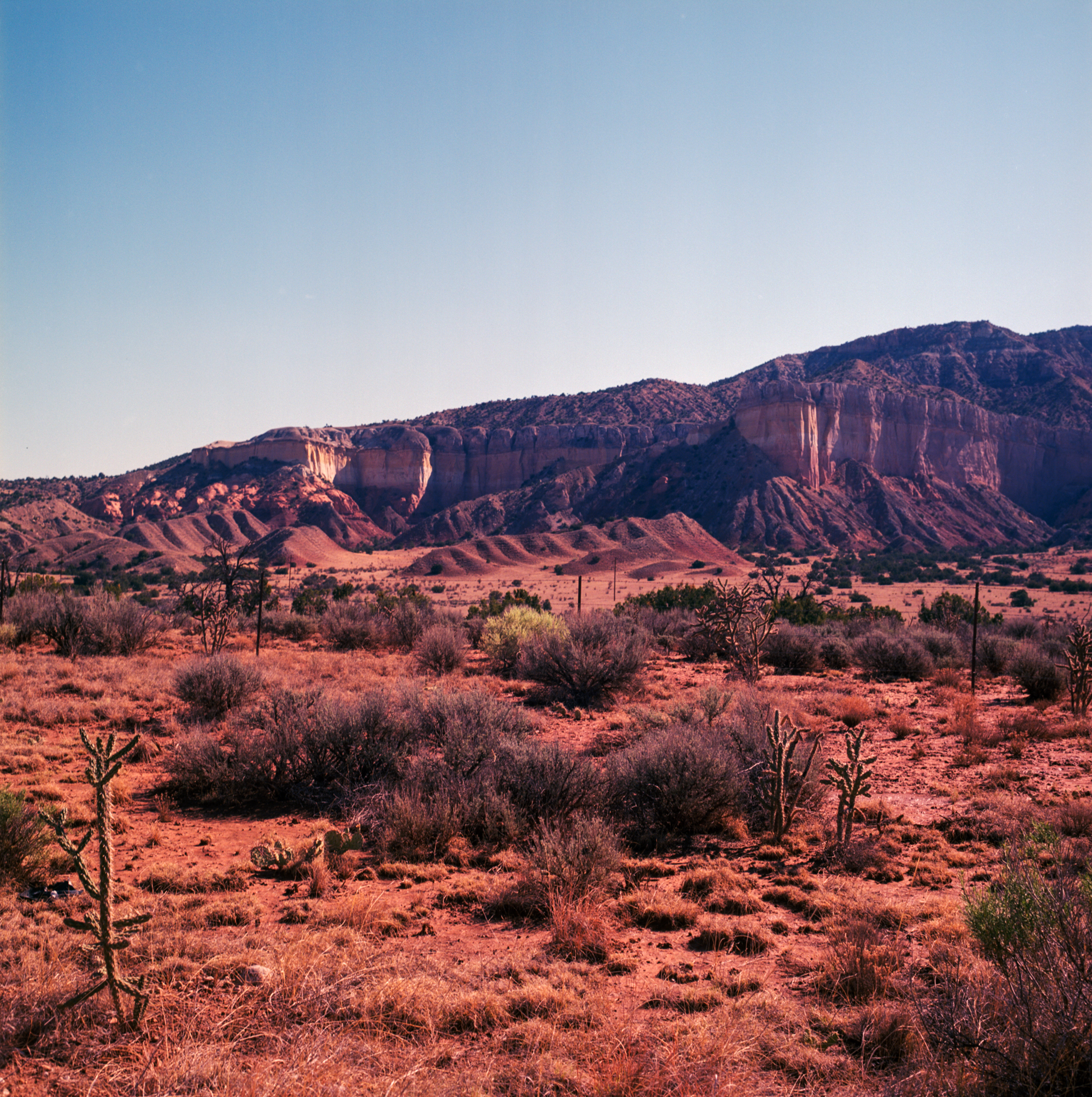 Ghost Ranch ektar 120 2018 (8 of 12).jpg