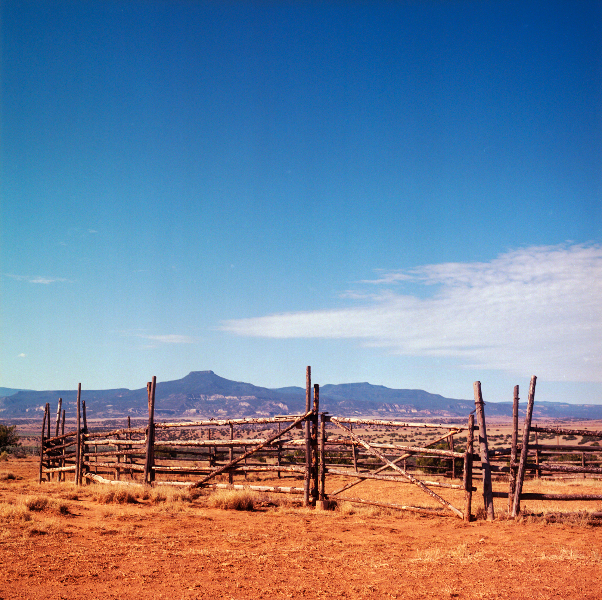 Hasselblad &amp; Ektar (all photographs unless otherwise noted are Kodak Ektar)