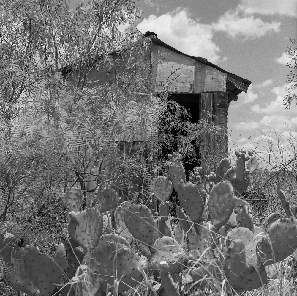 Into the West 7_AmyJasek_RevelaT2019.jpg