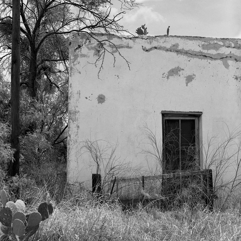 Into the West 8_AmyJasek_RevelaT2019.jpg