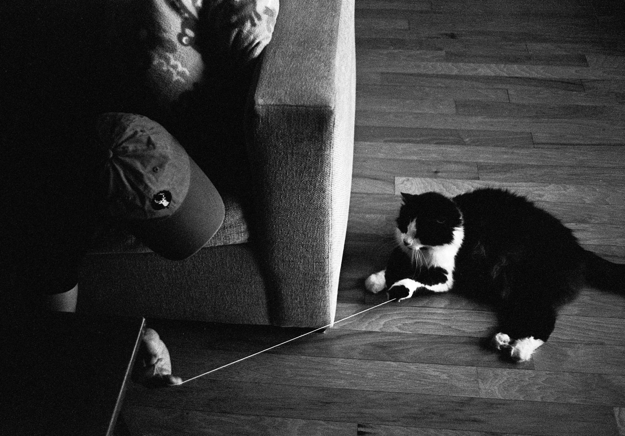 TATMAN string (1 of 1).jpg