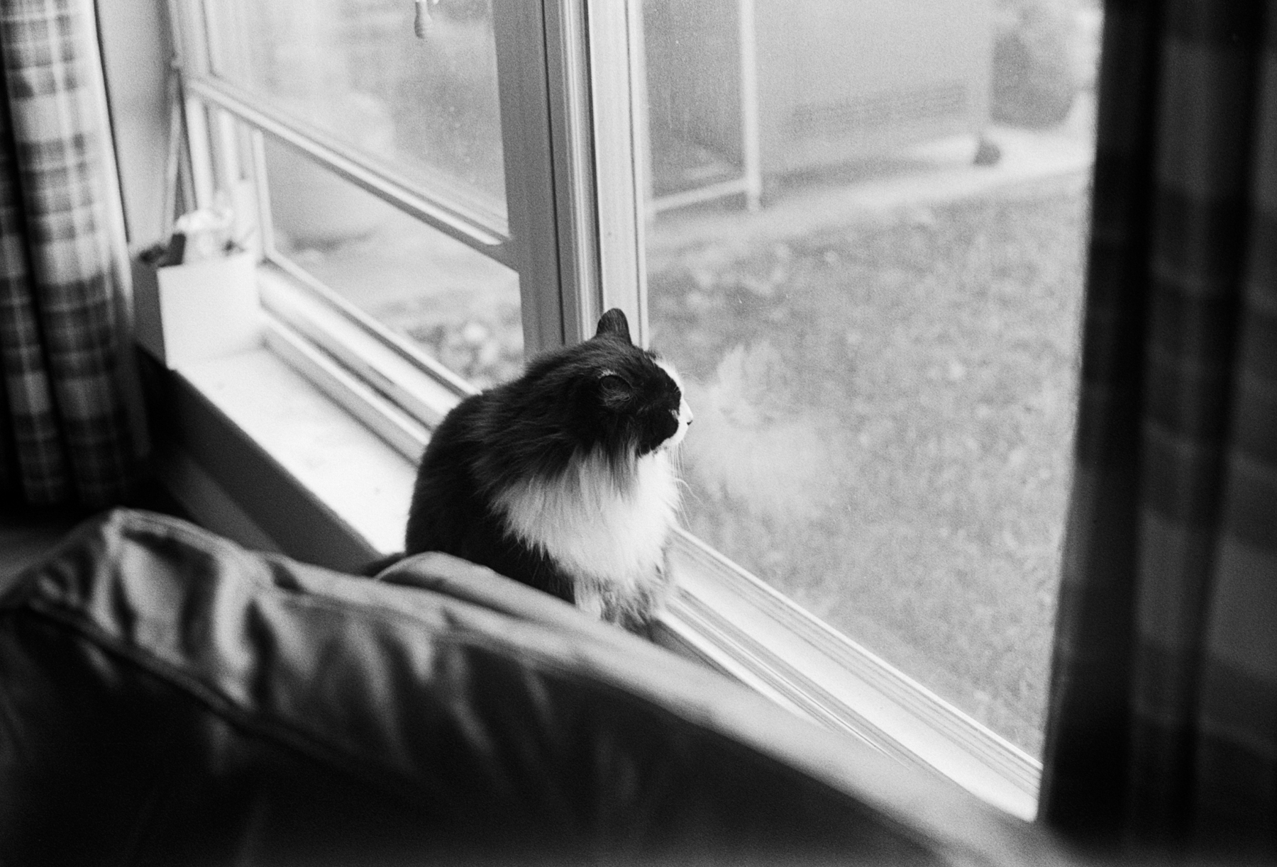 tatman window sm (1 of 1).jpg