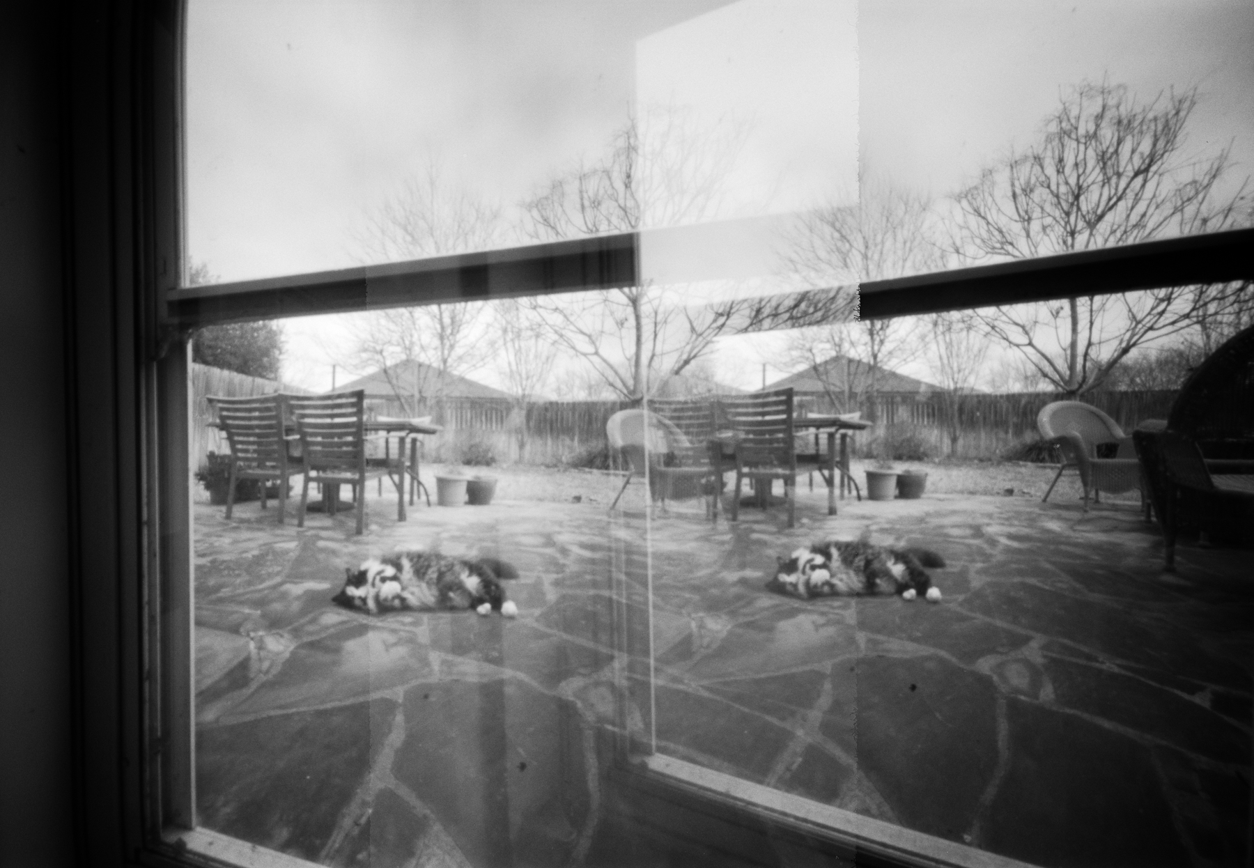 tatman deux sm (1 of 1).jpg