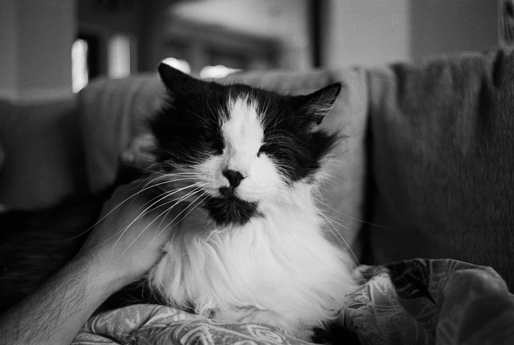 tatman happy (3 of 2).jpg