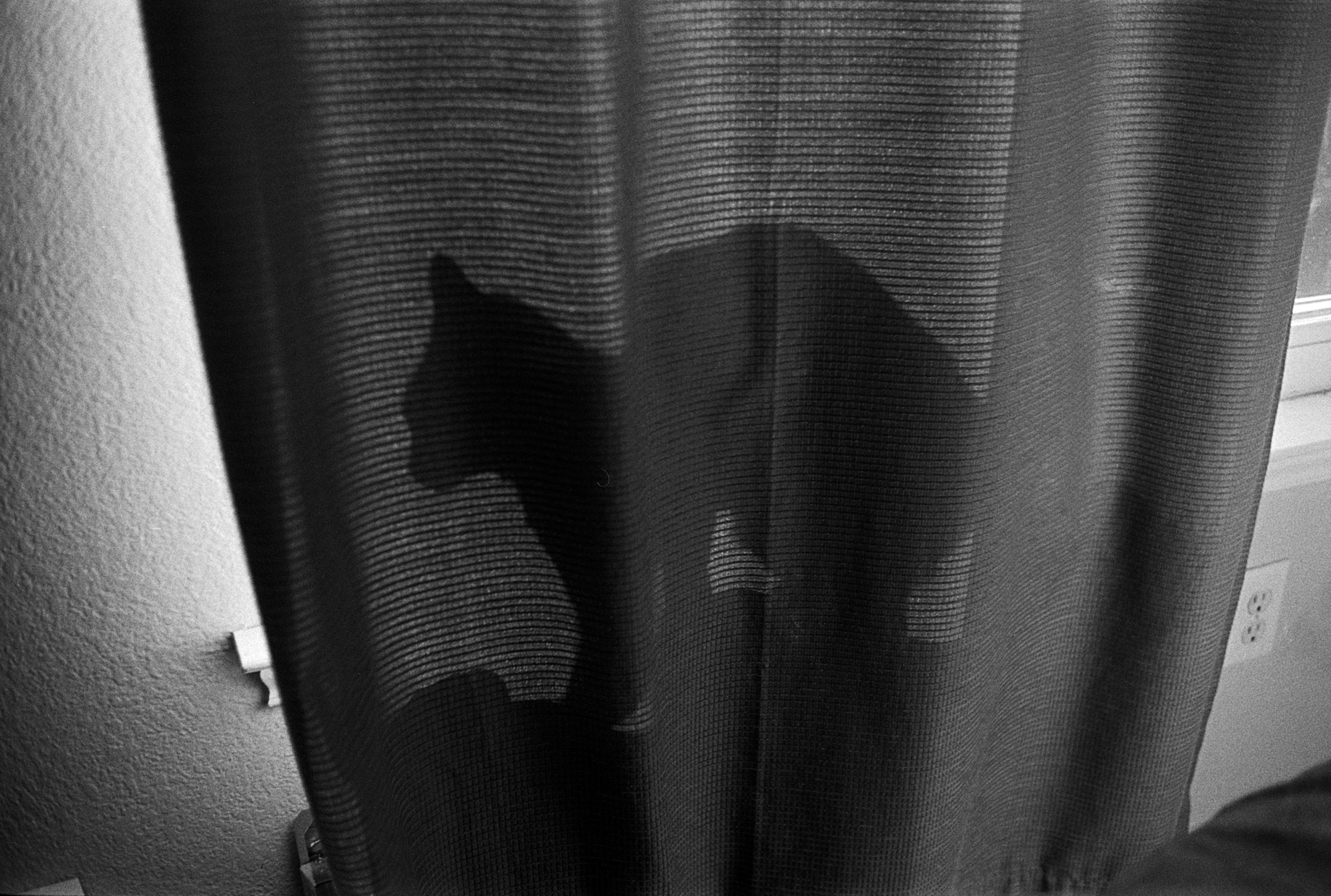 diddles behind curtain (1 of 1).jpg