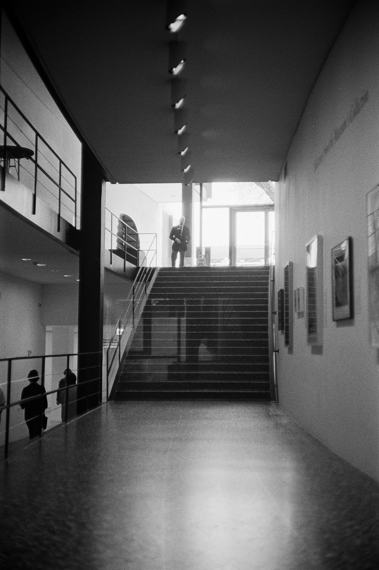Houston MFAH (2 of 8).jpg