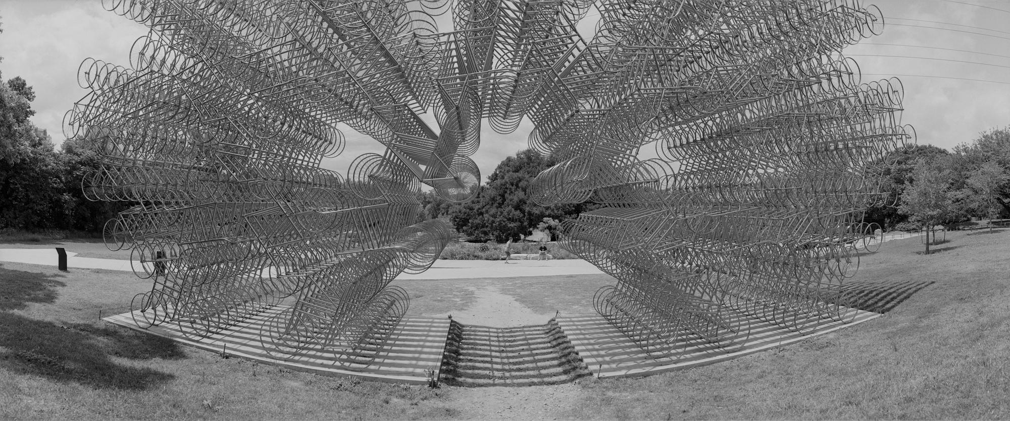 Noblex Forever Bicycles  (2 of 3).jpg