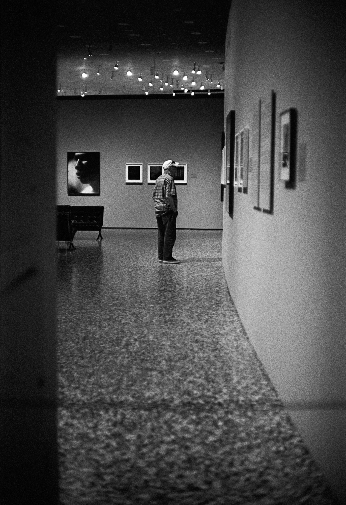 Houston MFAH (1 of 8).jpg
