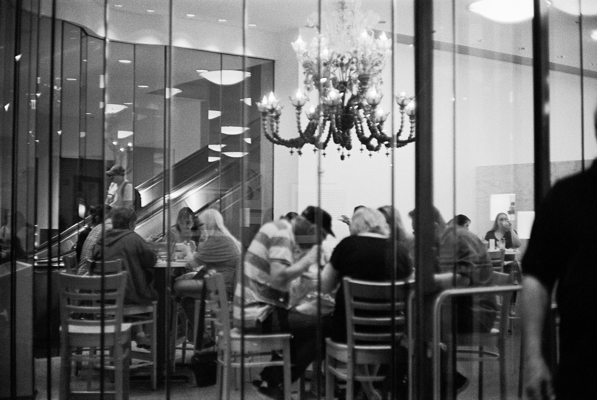 Houston MFAH (5 of 8).jpg