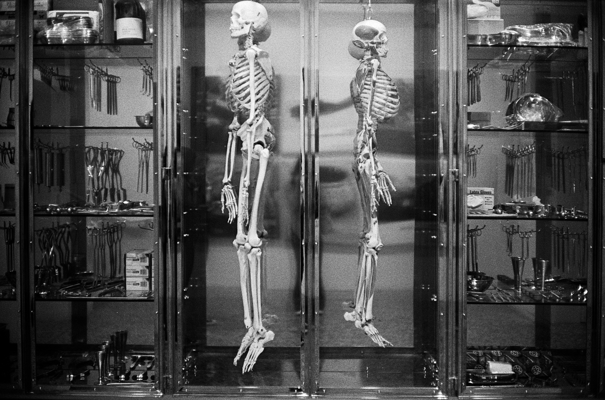 Houston MFAH (3 of 8).jpg