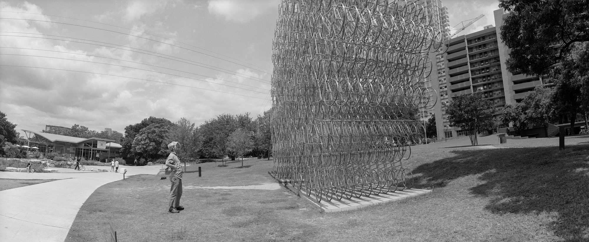 Noblex Forever Bicycles 1 (1 of 1).jpg