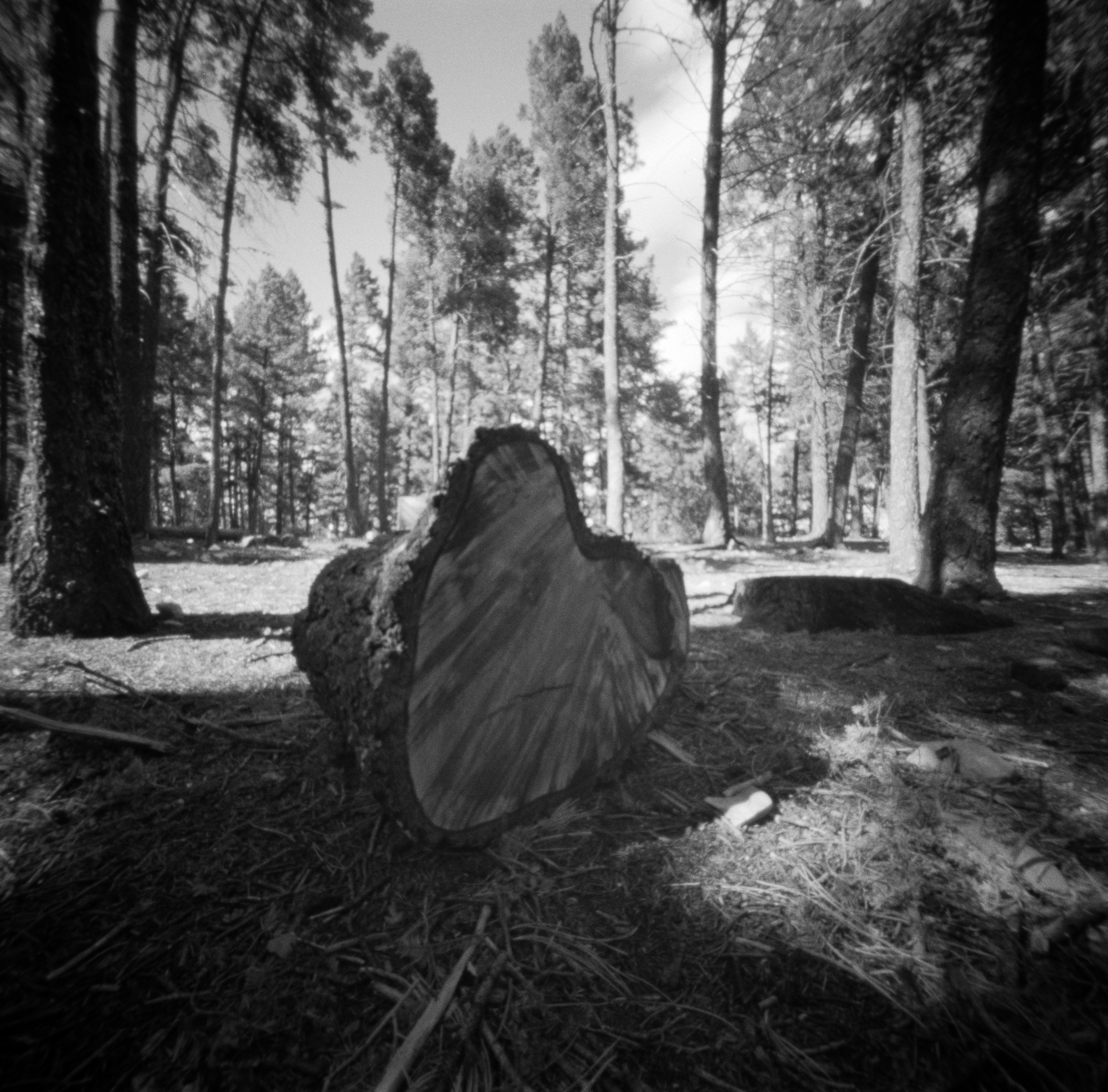 Into the West 2019, 1 Ondu Lincoln National Forest (11 of 12) (2).jpg