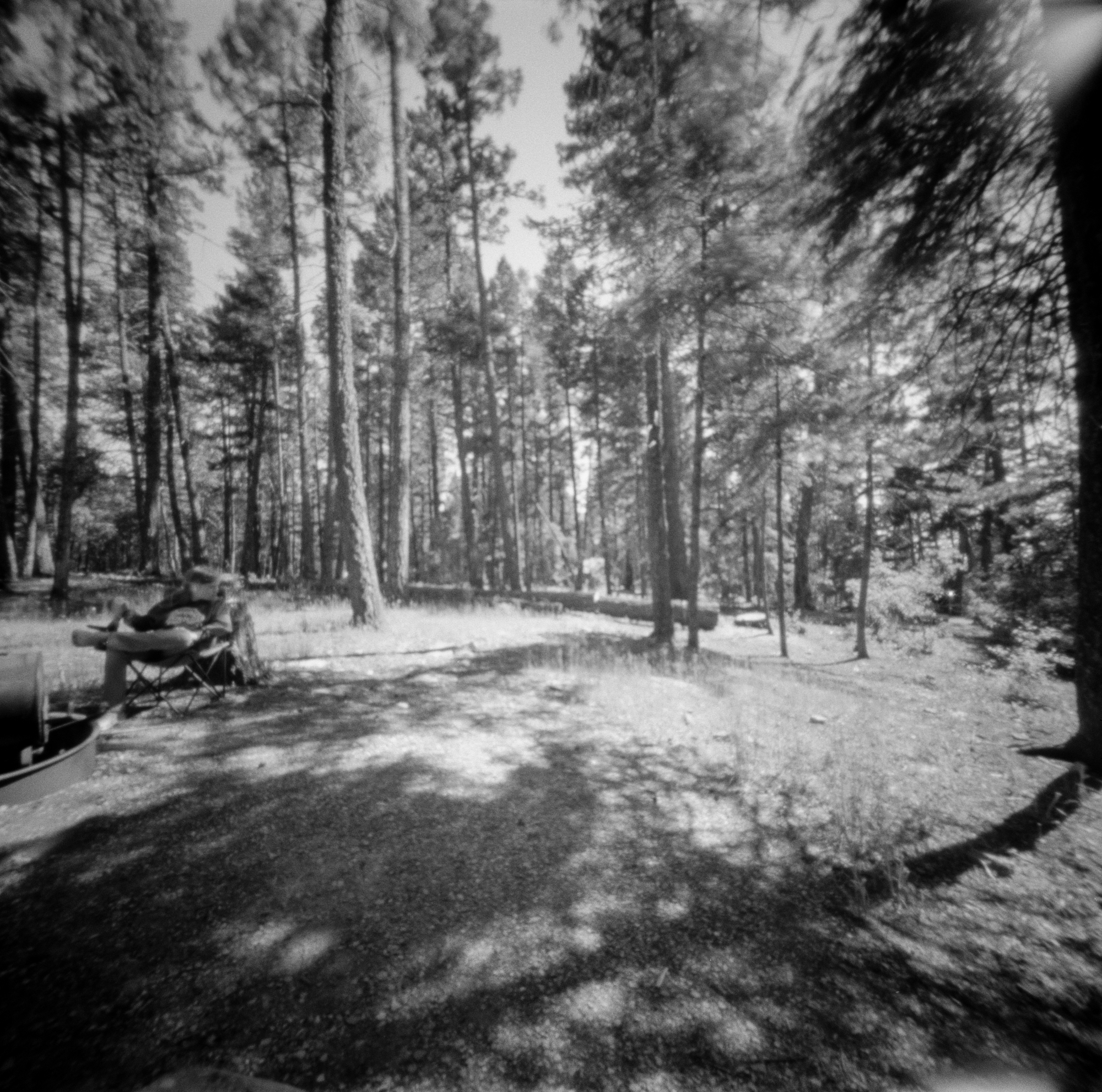 Into the West 2019, 1 Ondu Lincoln National Forest  (7 of 9).jpg