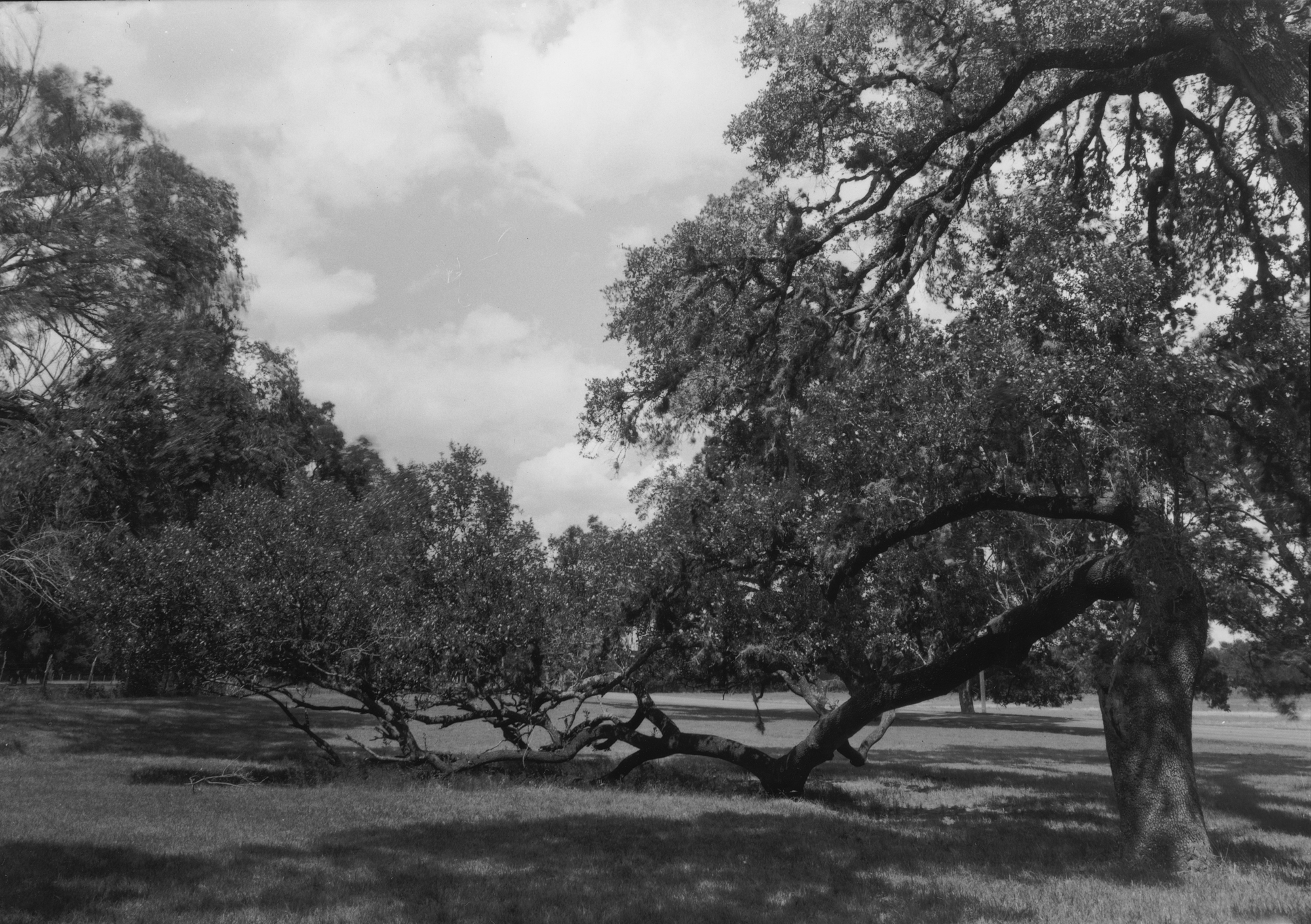 Johnson City June  Kodak 33a RC paper  (6 of 6).jpg