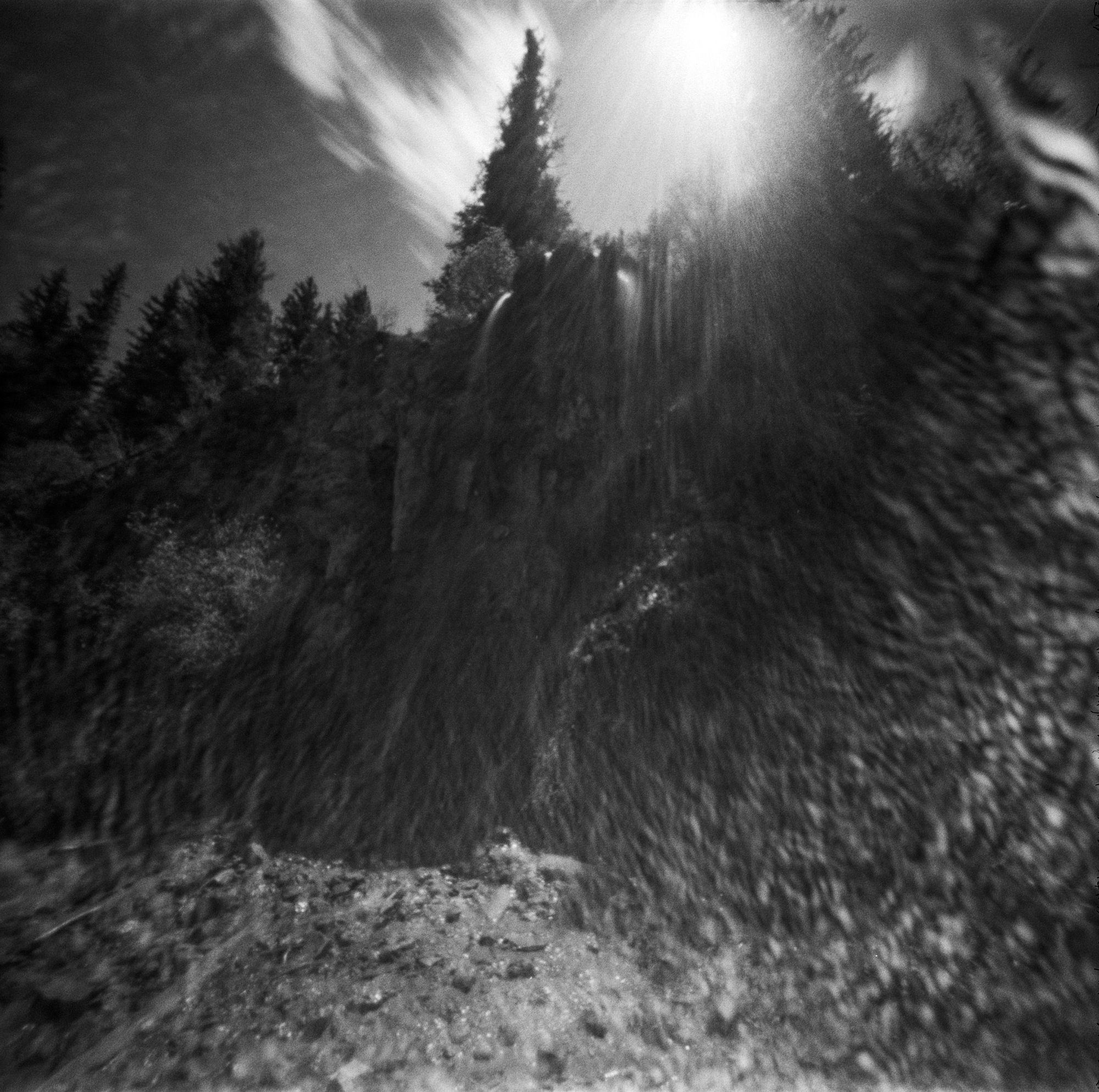 Into the West 2019, 1 Ondu Lincoln National Forest Bluff Springs  (12 of 12).jpg