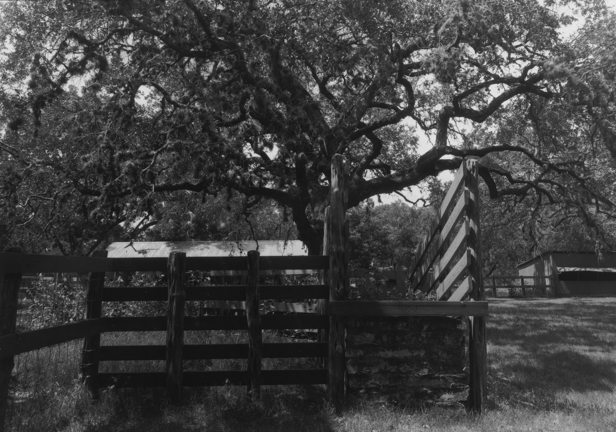 Johnson City June  Kodak 33a RC paper  (2 of 6).jpg