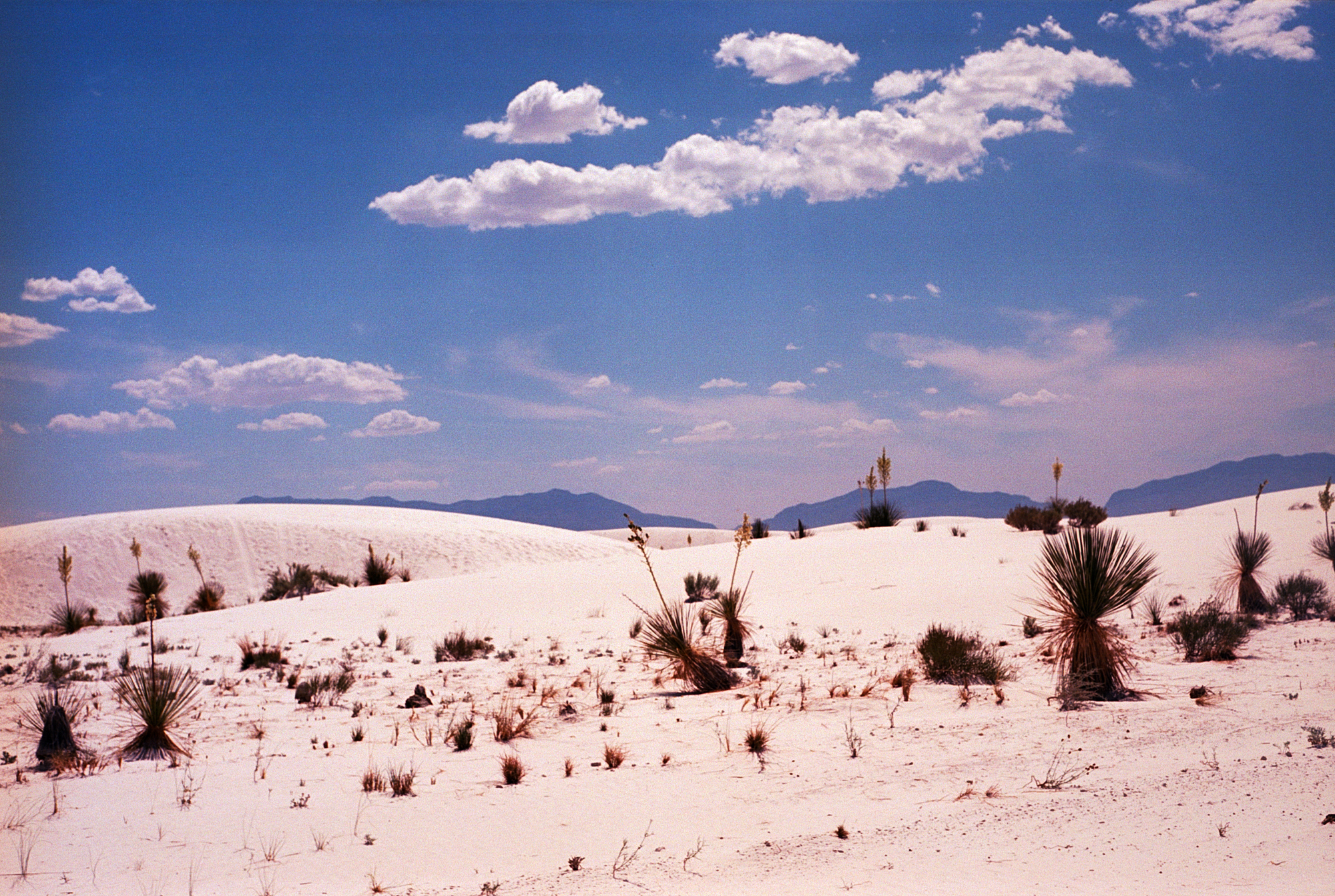 Into the West 2019 1 White Sands  (6 of 11).jpg
