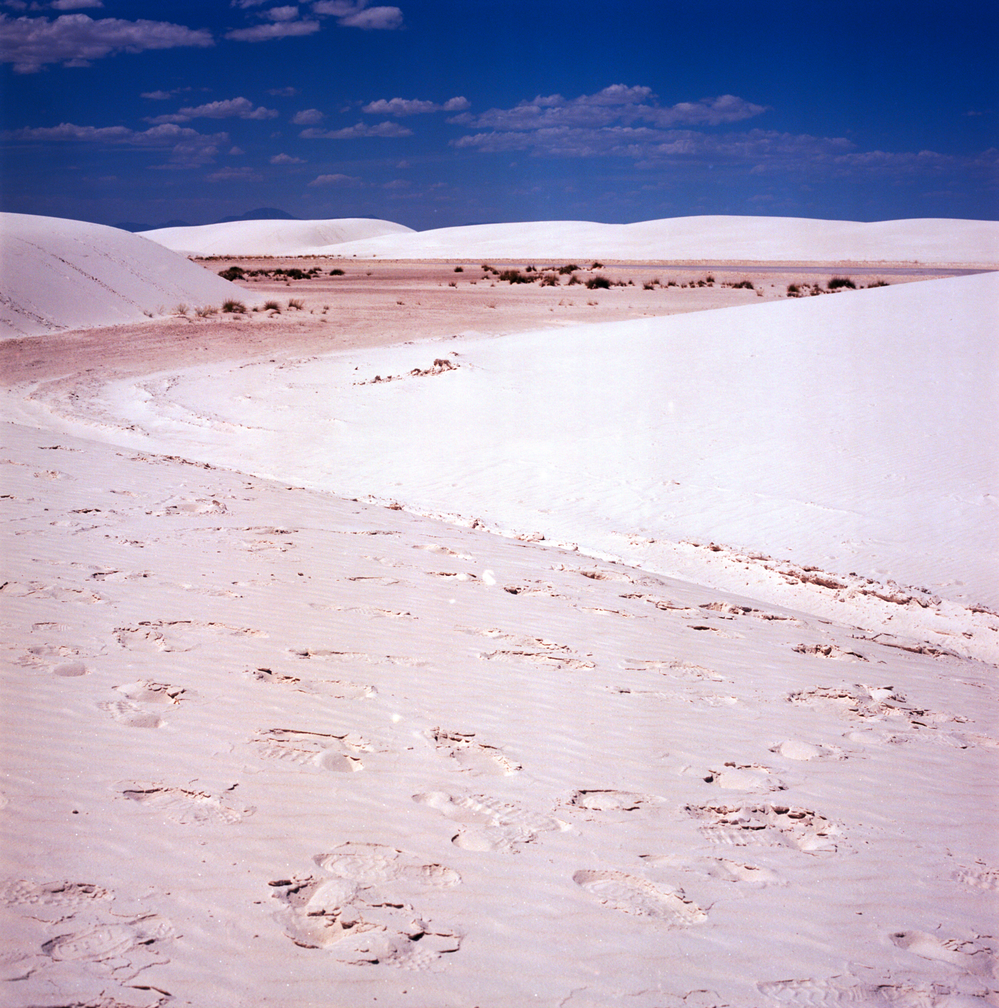 Into the West 2019 1 White Sands  (3 of 8).jpg