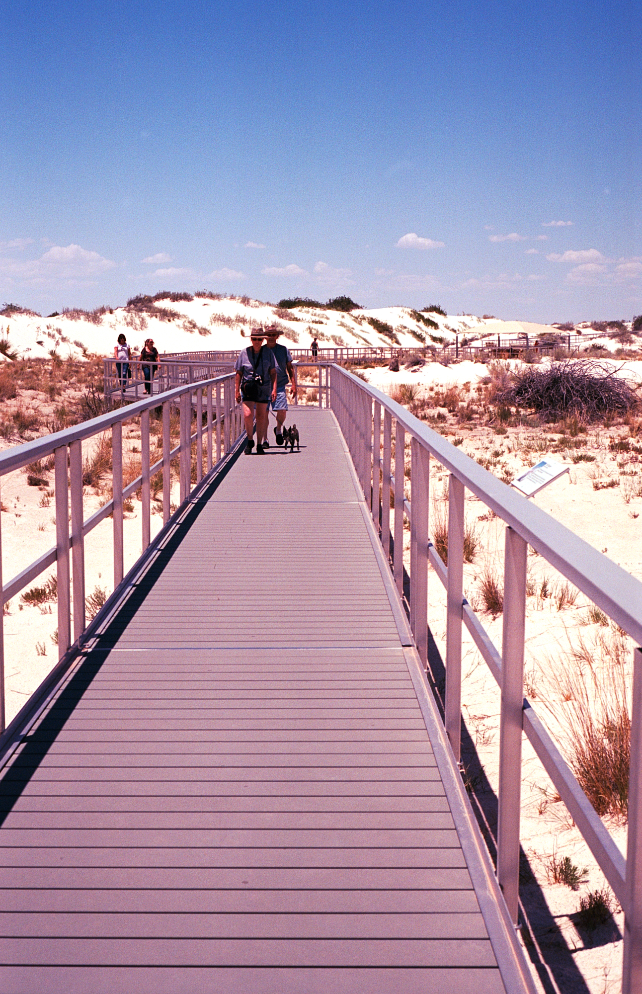 Into the West 2019 1 White Sands  (1 of 11).jpg