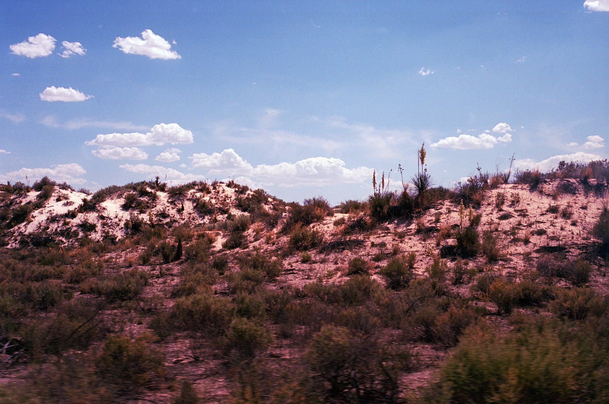 Into the West 2019 1 White Sands  (3 of 11).jpg