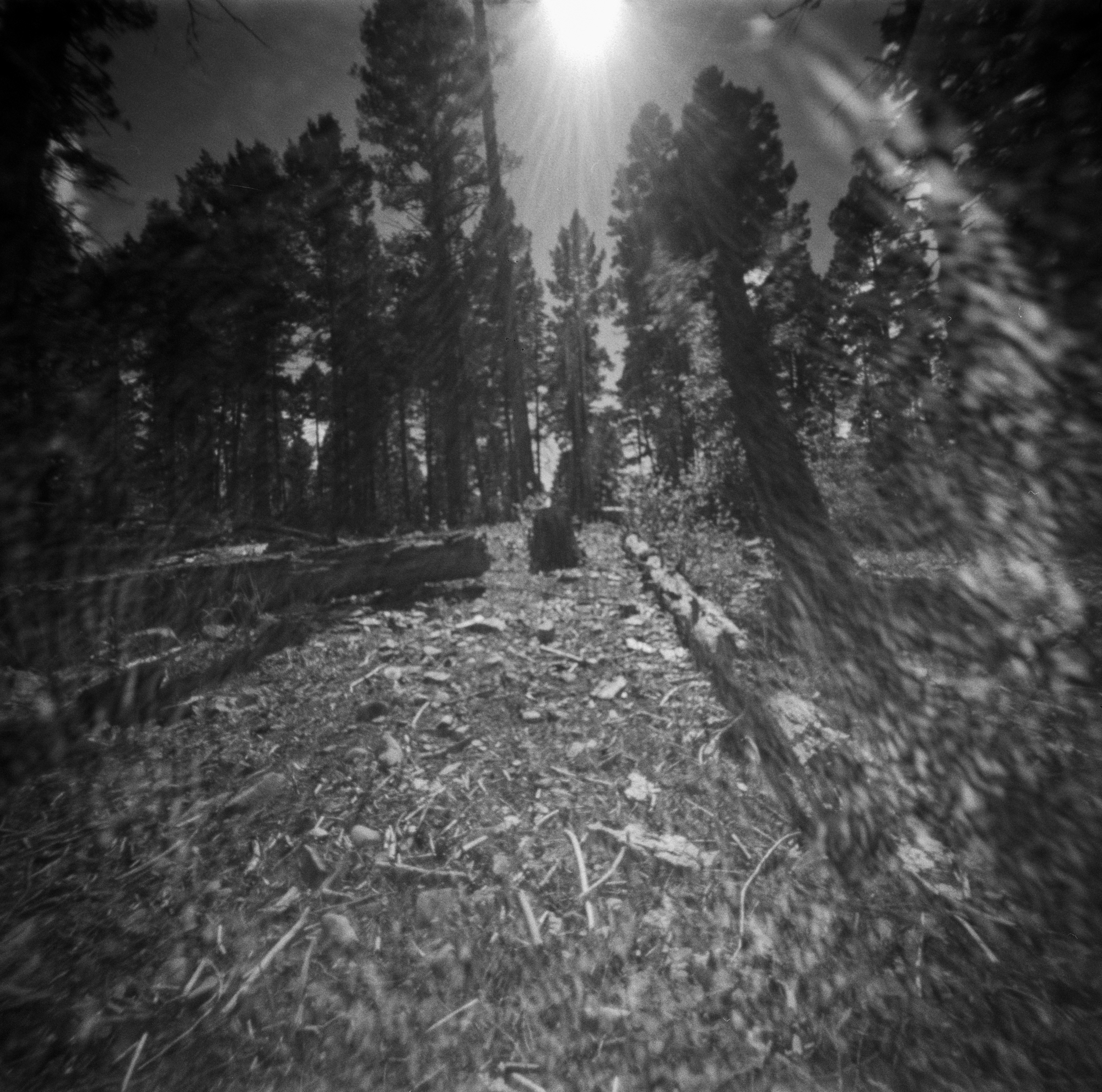 Into the West 2019, 1 Ondu Lincoln National Forest (4 of 12) (2).jpg