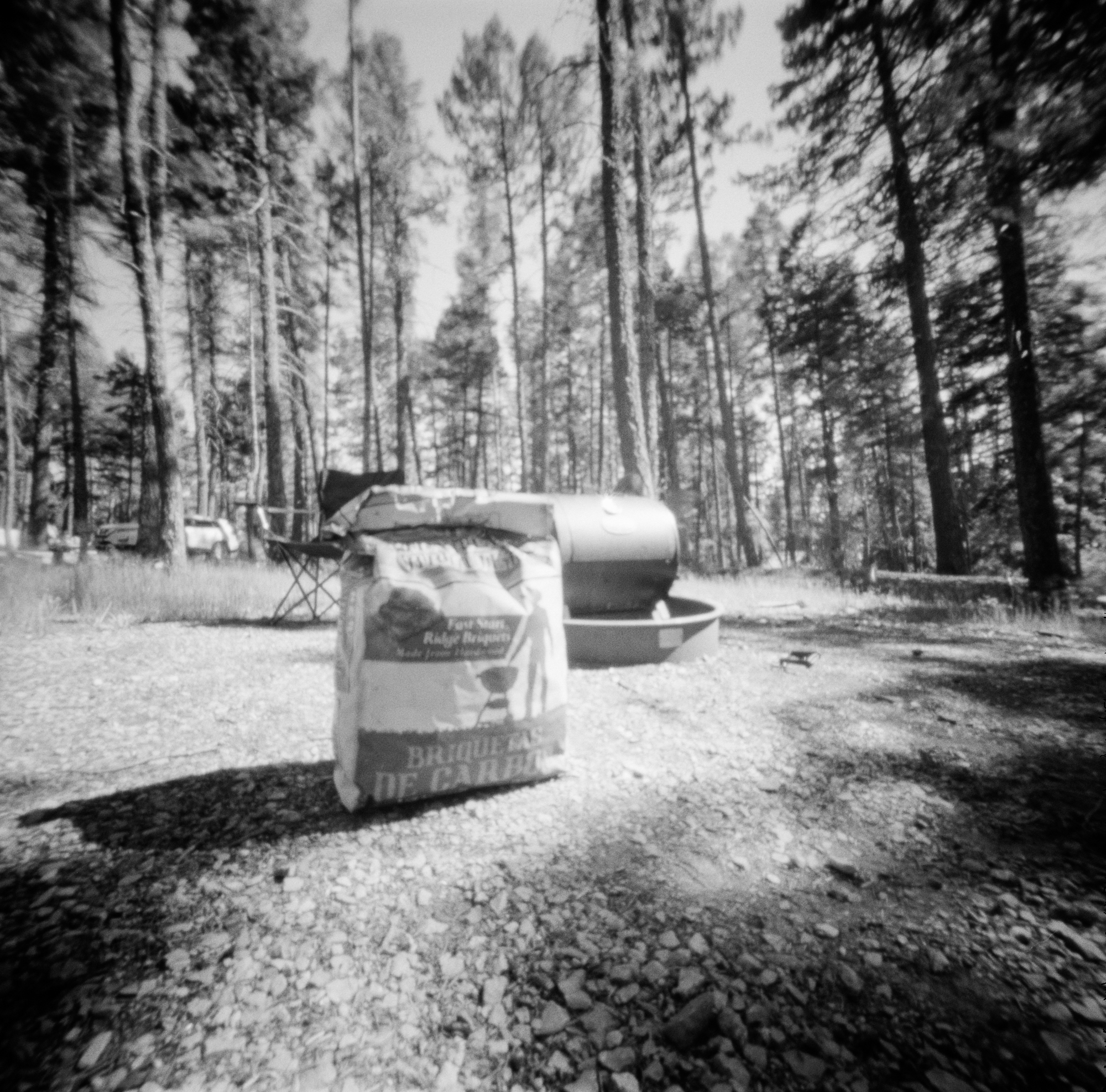 Into the West 2019, 1 Ondu Lincoln National Forest  (9 of 9).jpg