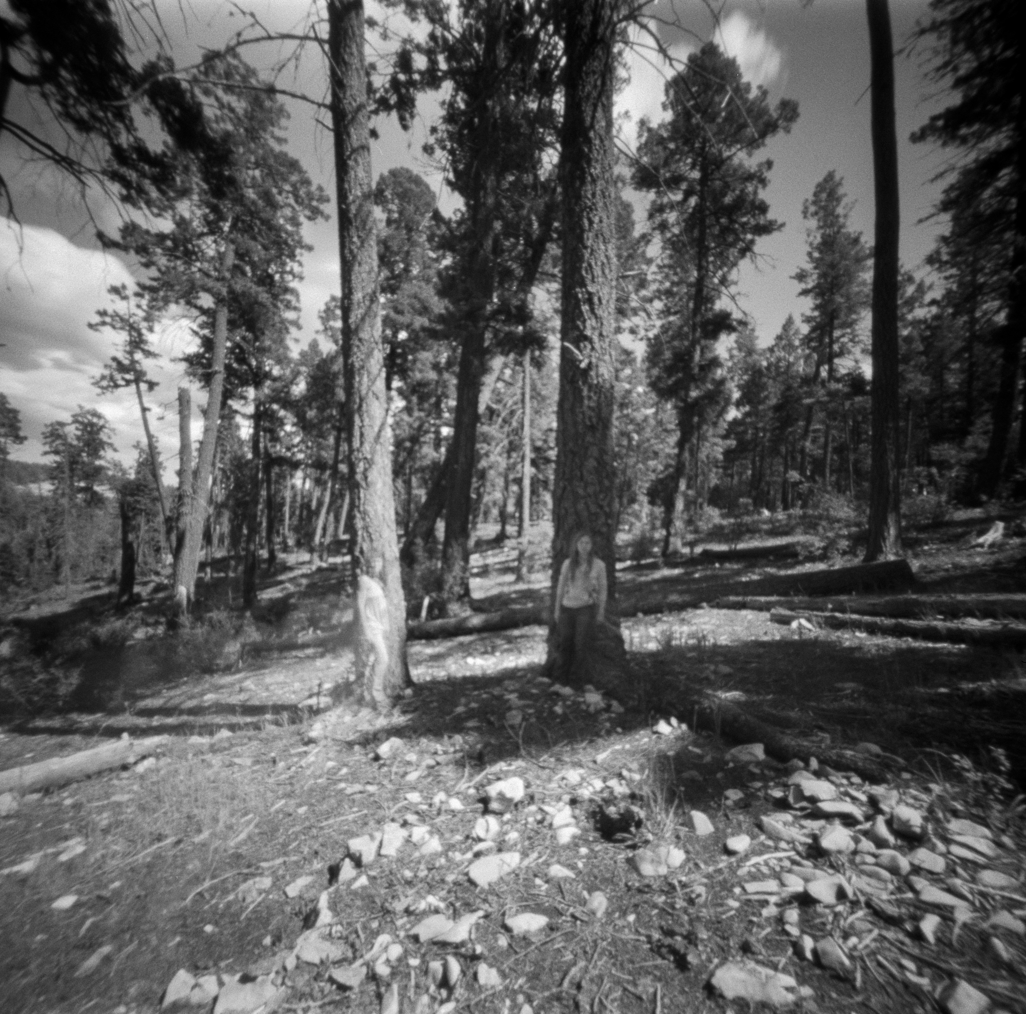 Into the West 2019, 1 Ondu Lincoln National Forest (5 of 12) (2).jpg