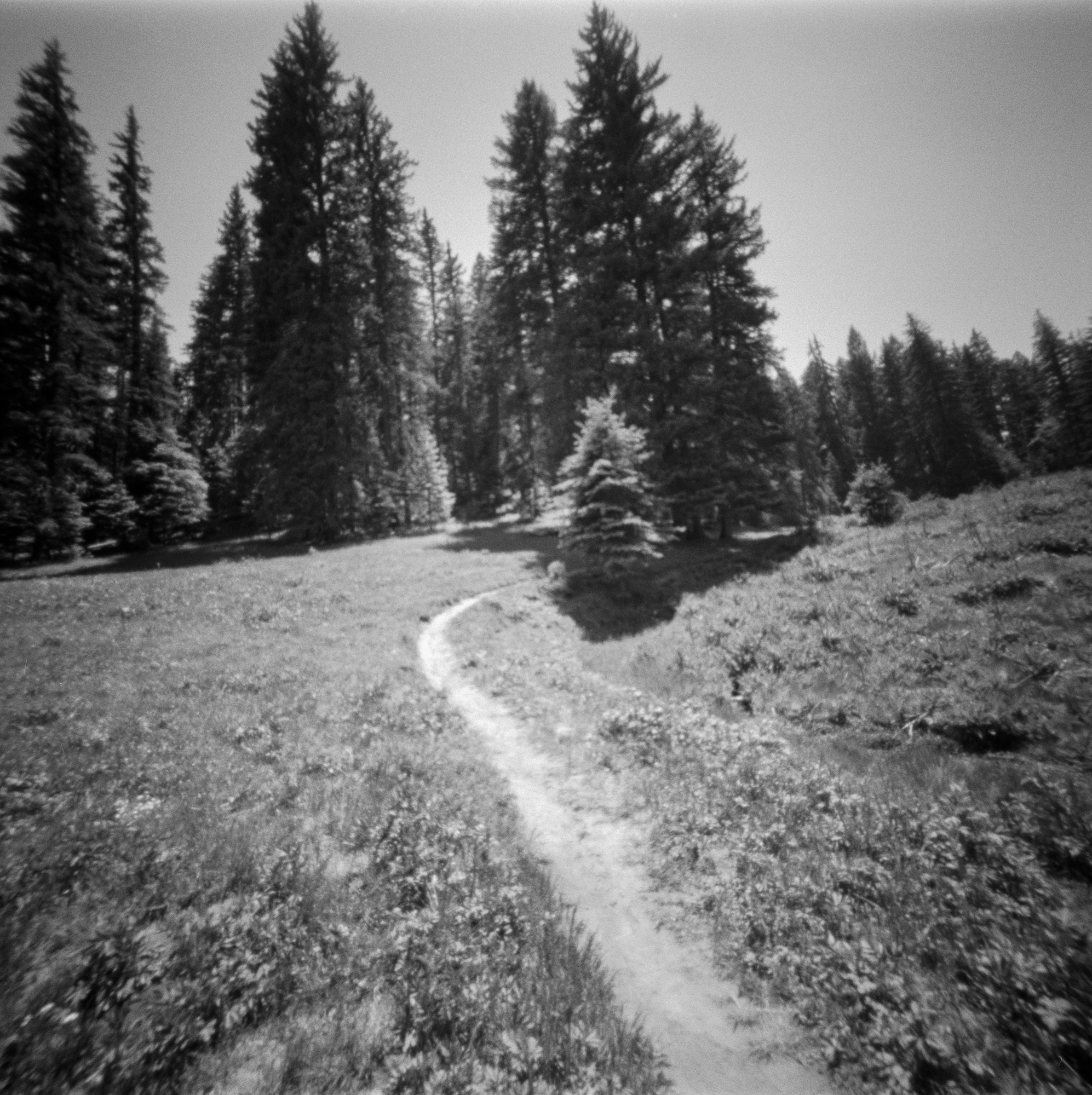 Into the West 2019, 1 Ondu Lincoln National Forest Bluff Springs  (2 of 12).jpg