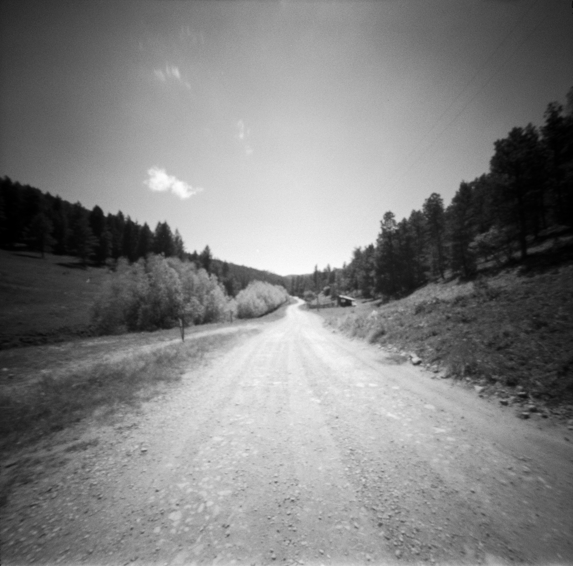 Into the West 2019, 1 Ondu Lincoln National Forest  (6 of 9).jpg