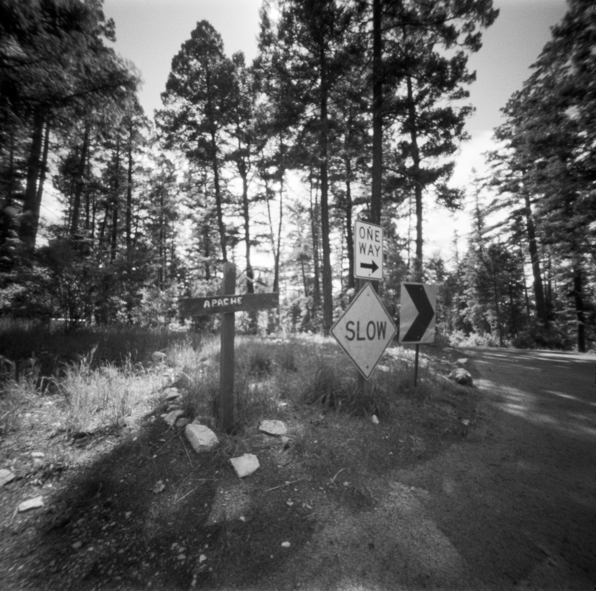 Into the West 2019, 1 Ondu Lincoln National Forest (8 of 12) (2).jpg