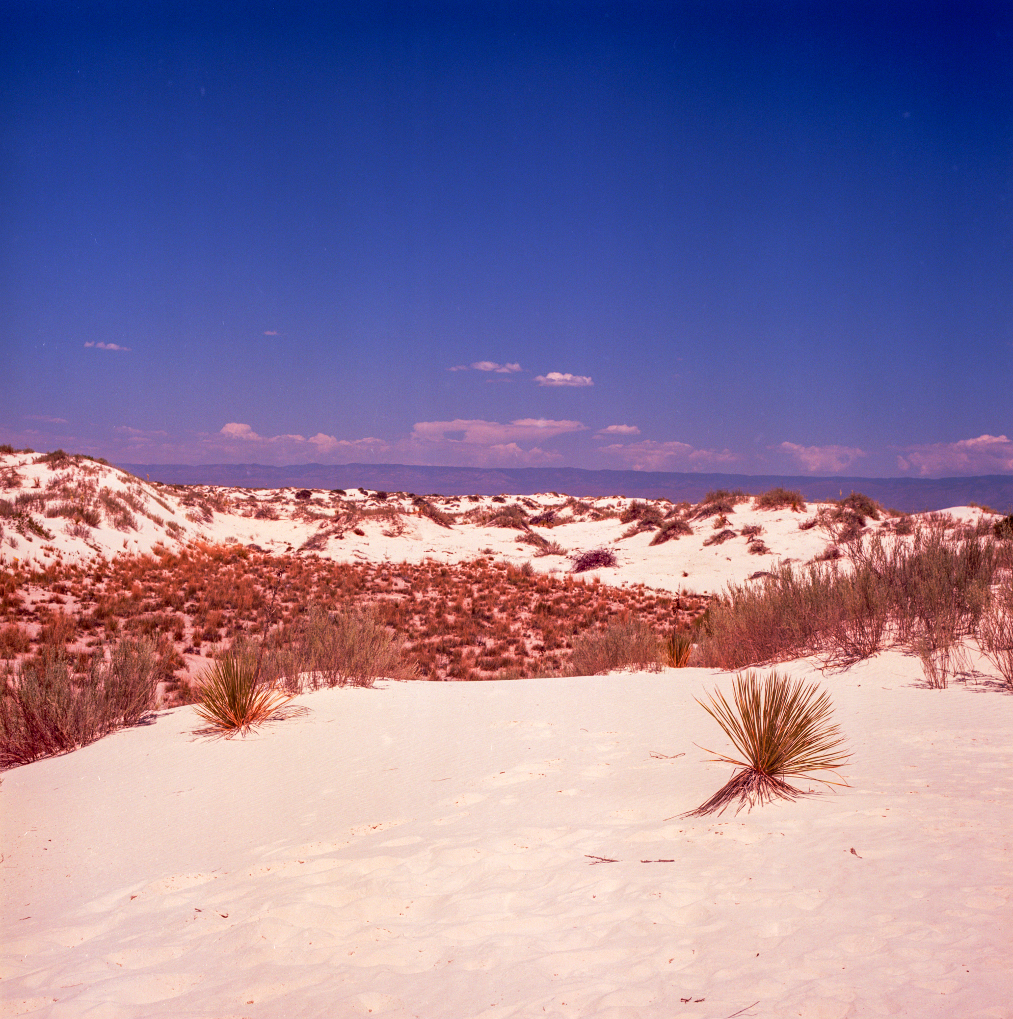 Into the West 2019 1 White Sands  (6 of 8).jpg