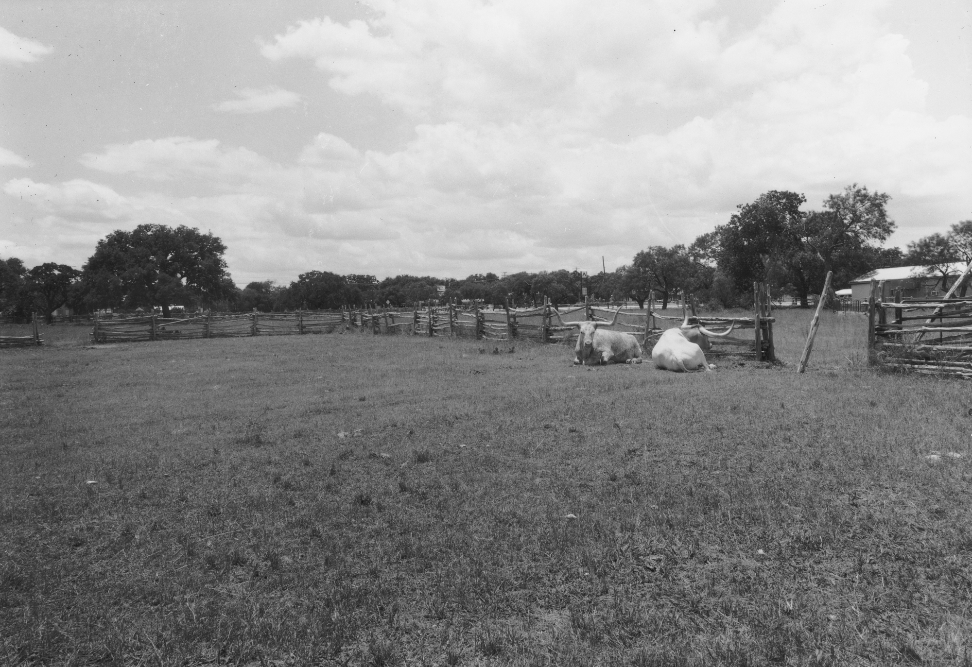 Johnson City June  Kodak 33a RC paper  (4 of 6).jpg