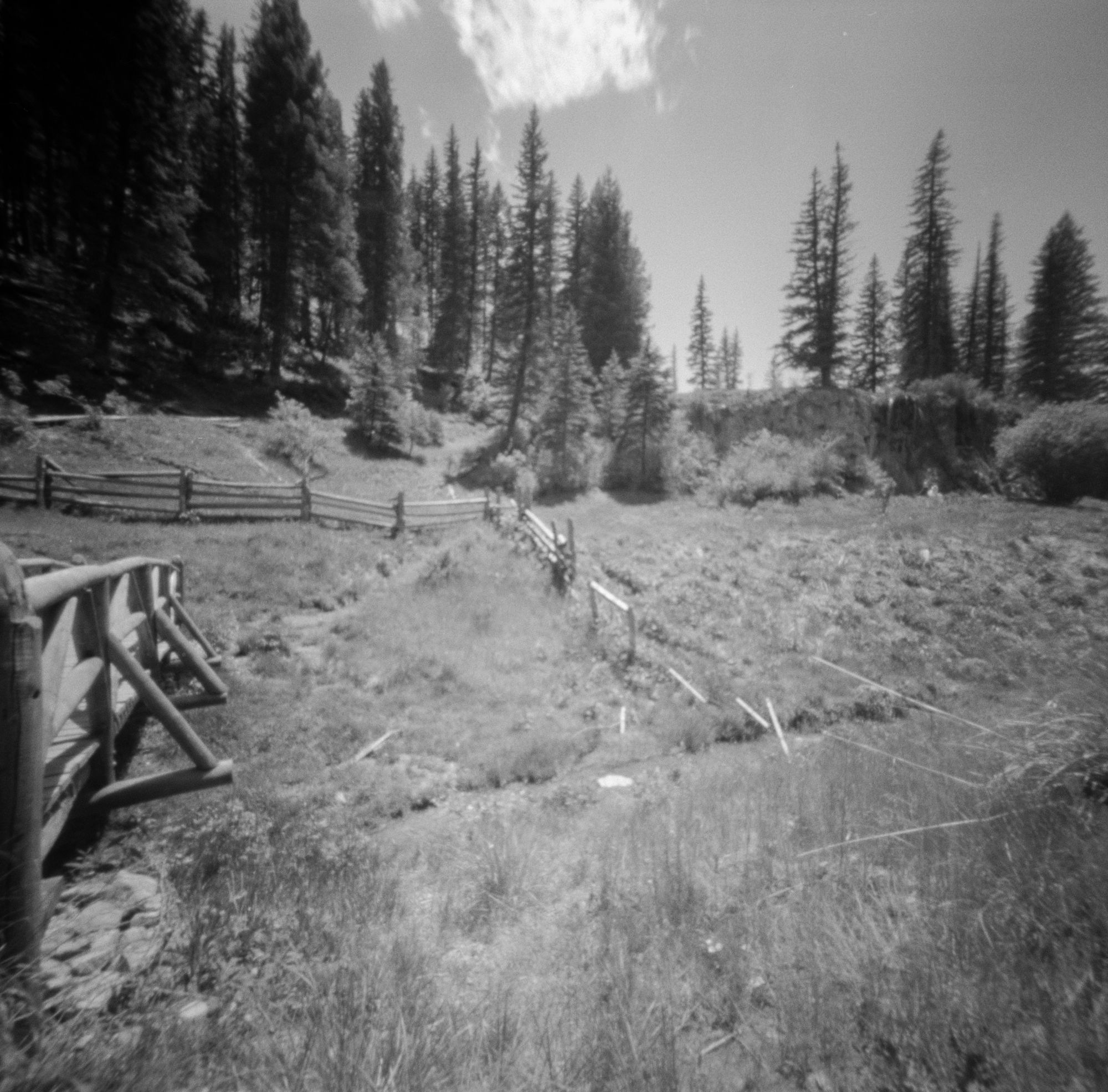 Into the West 2019, 1 Ondu Lincoln National Forest Bluff Springs  (9 of 12).jpg