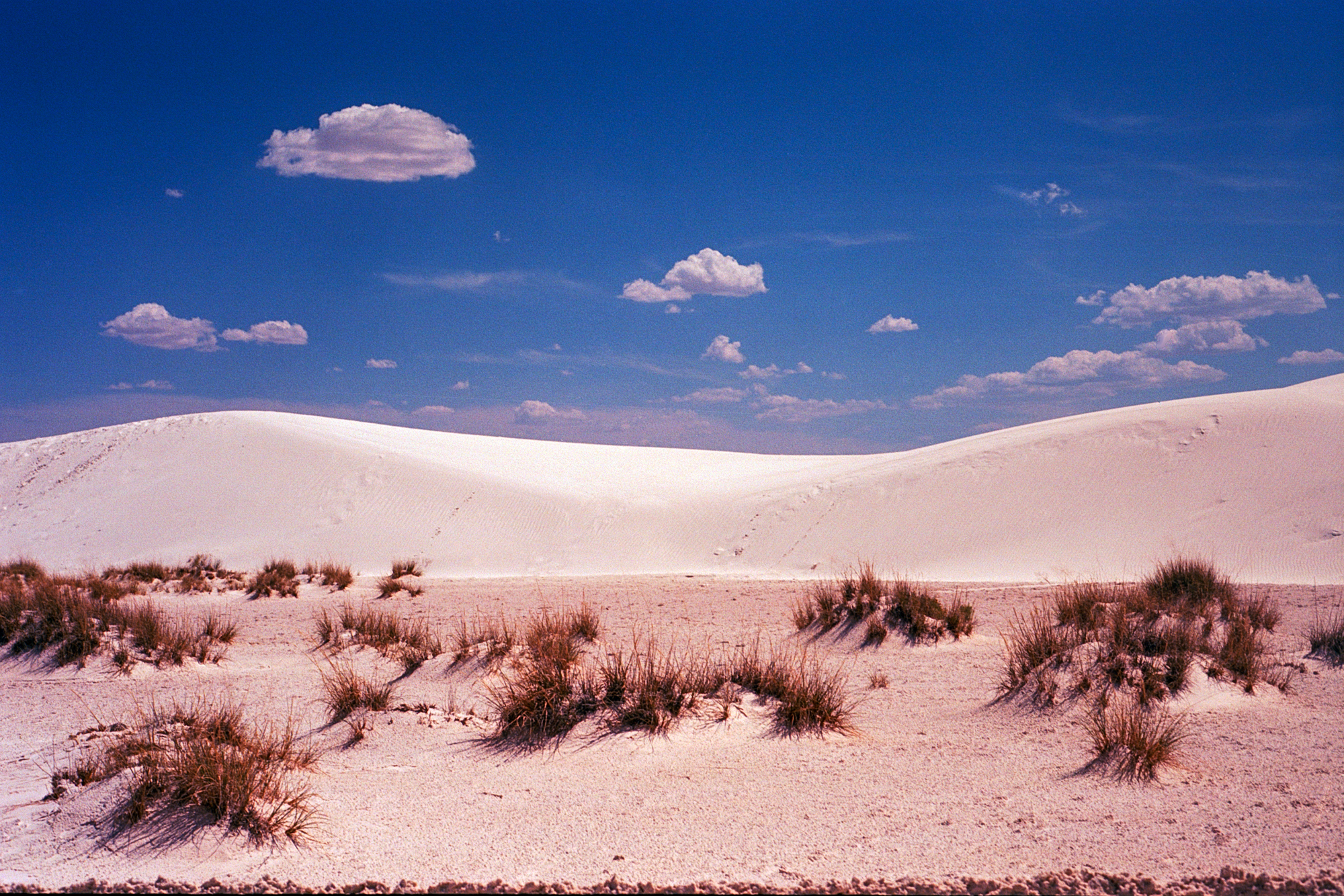 Into the West 2019 1 White Sands  (11 of 11).jpg
