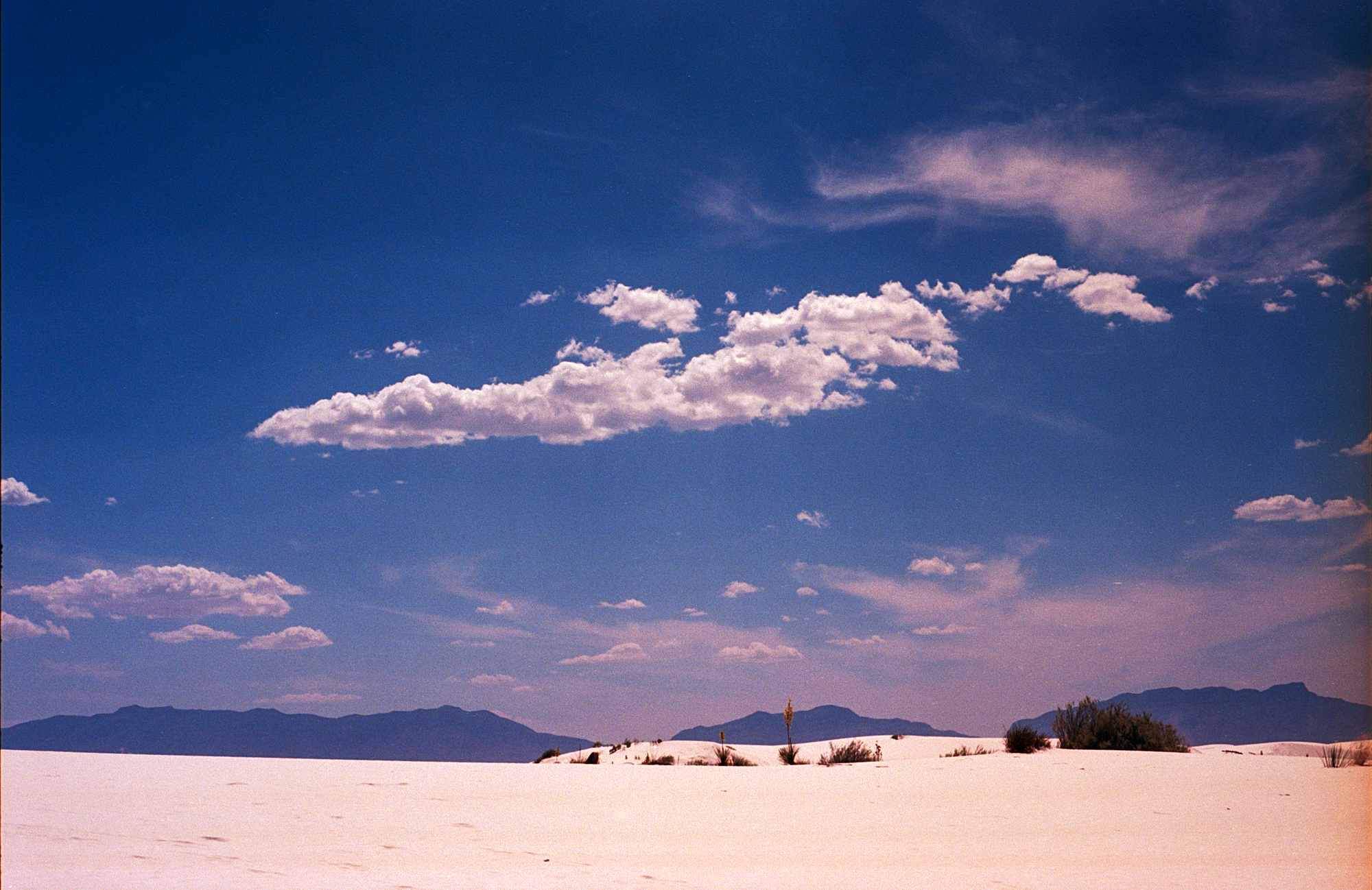 Into the West 2019 1 White Sands  (9 of 11).jpg