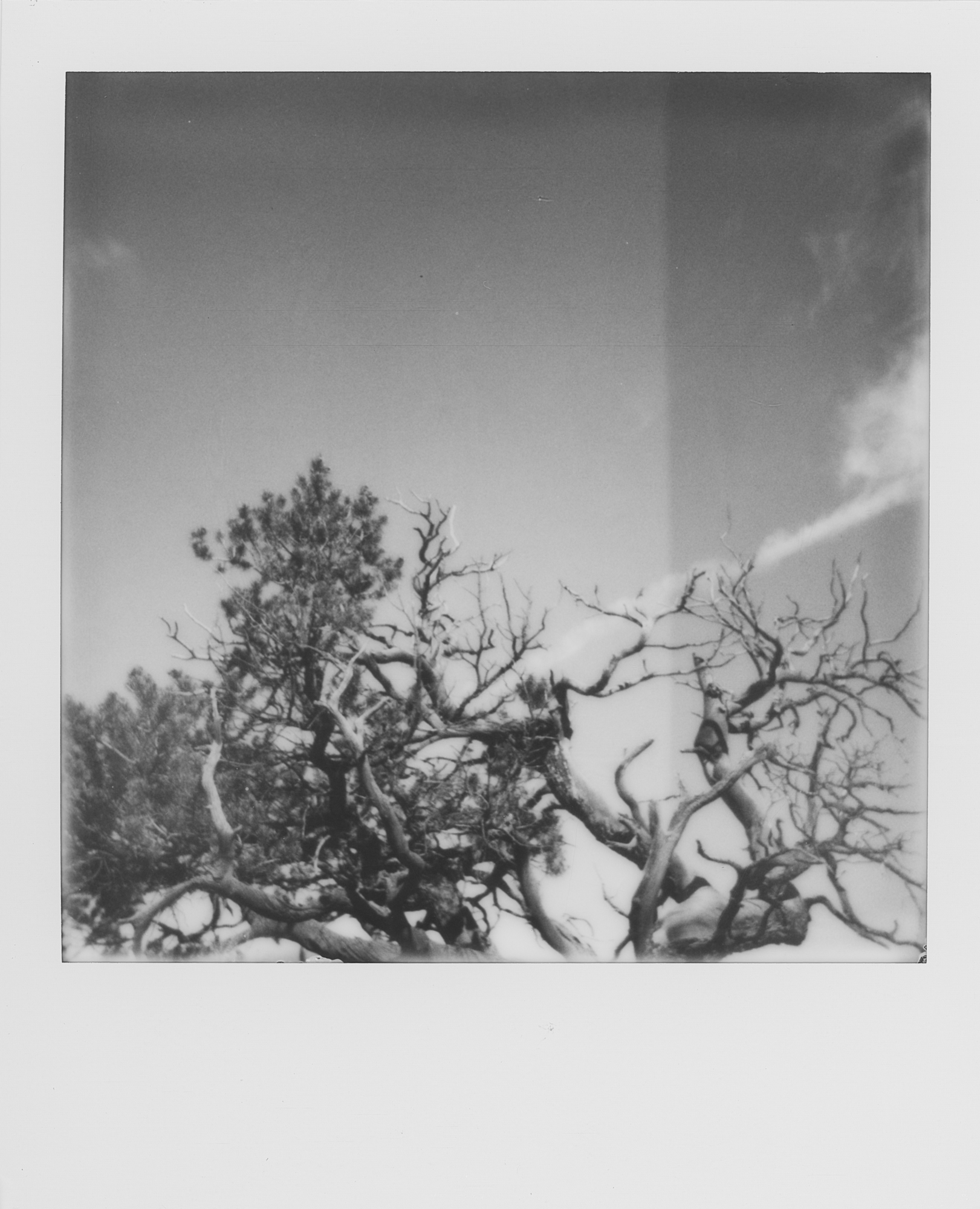 into the west Black Canyon of the Gunnison 2019 Polaroid b&w (6 of 7).jpg