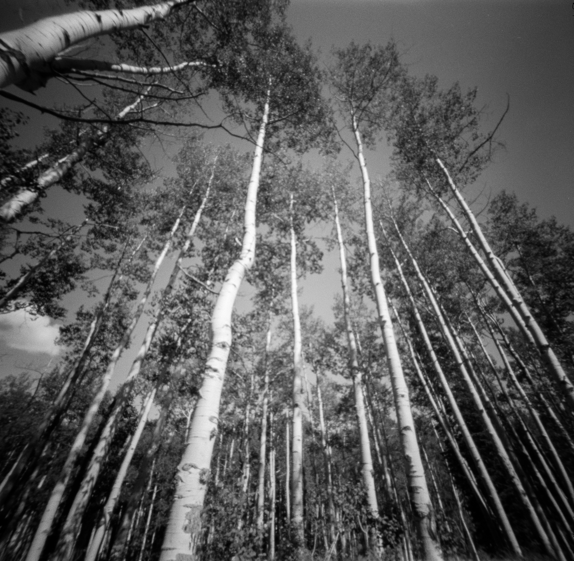 ITW samples  (2 of 1).jpg