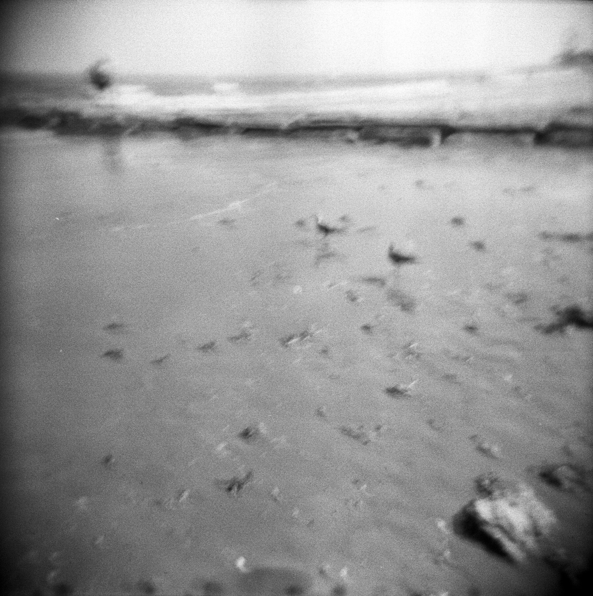 holga beach galveston labor day 2019 (27 of 9).jpg
