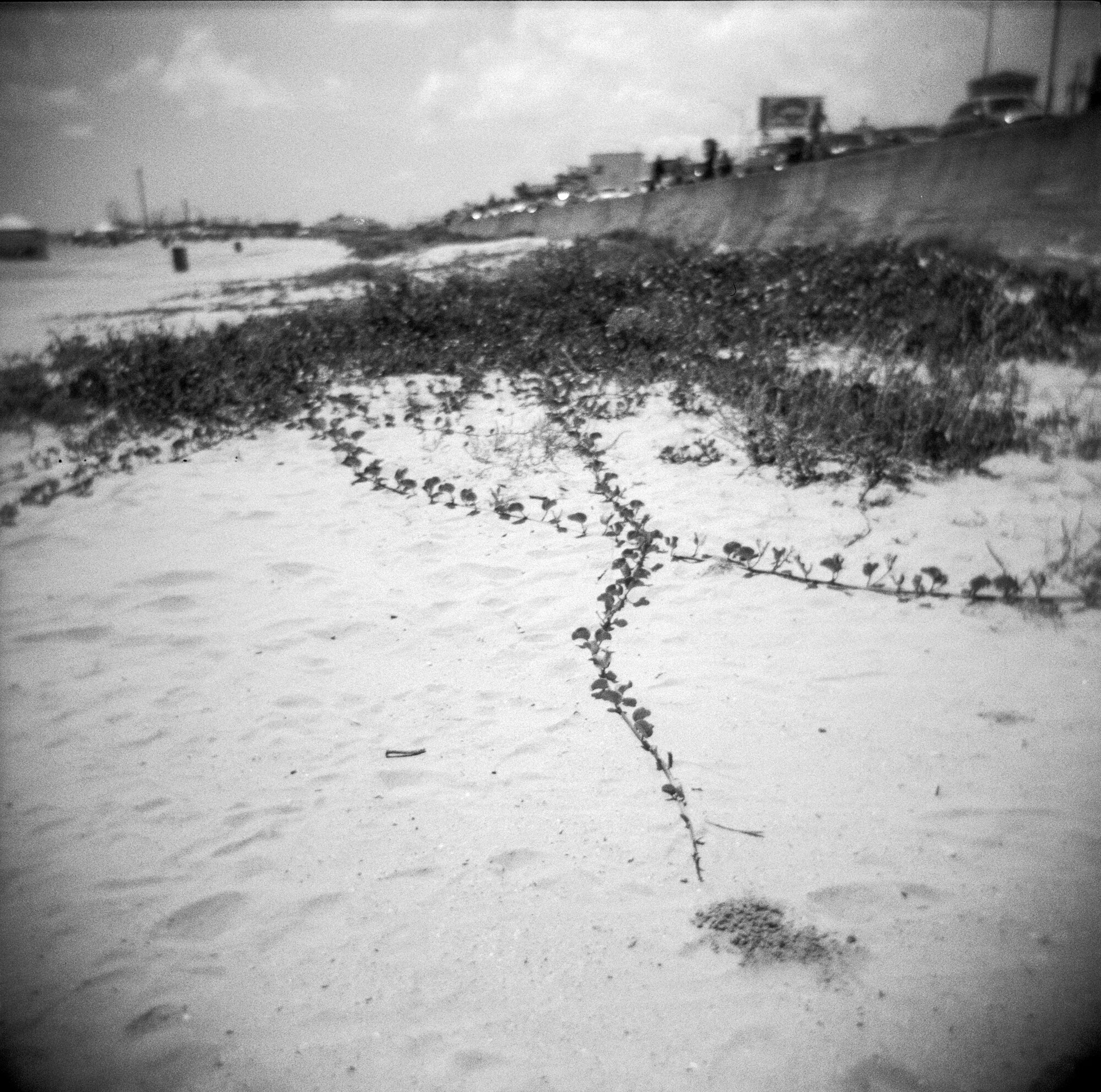 holga beach galveston labor day 2019 (15 of 7).jpg