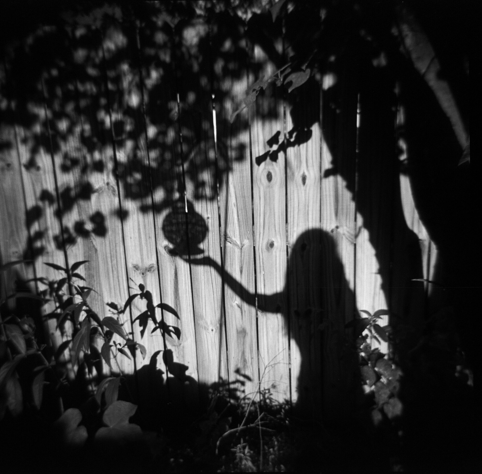 42 finals (2 of 28).jpg